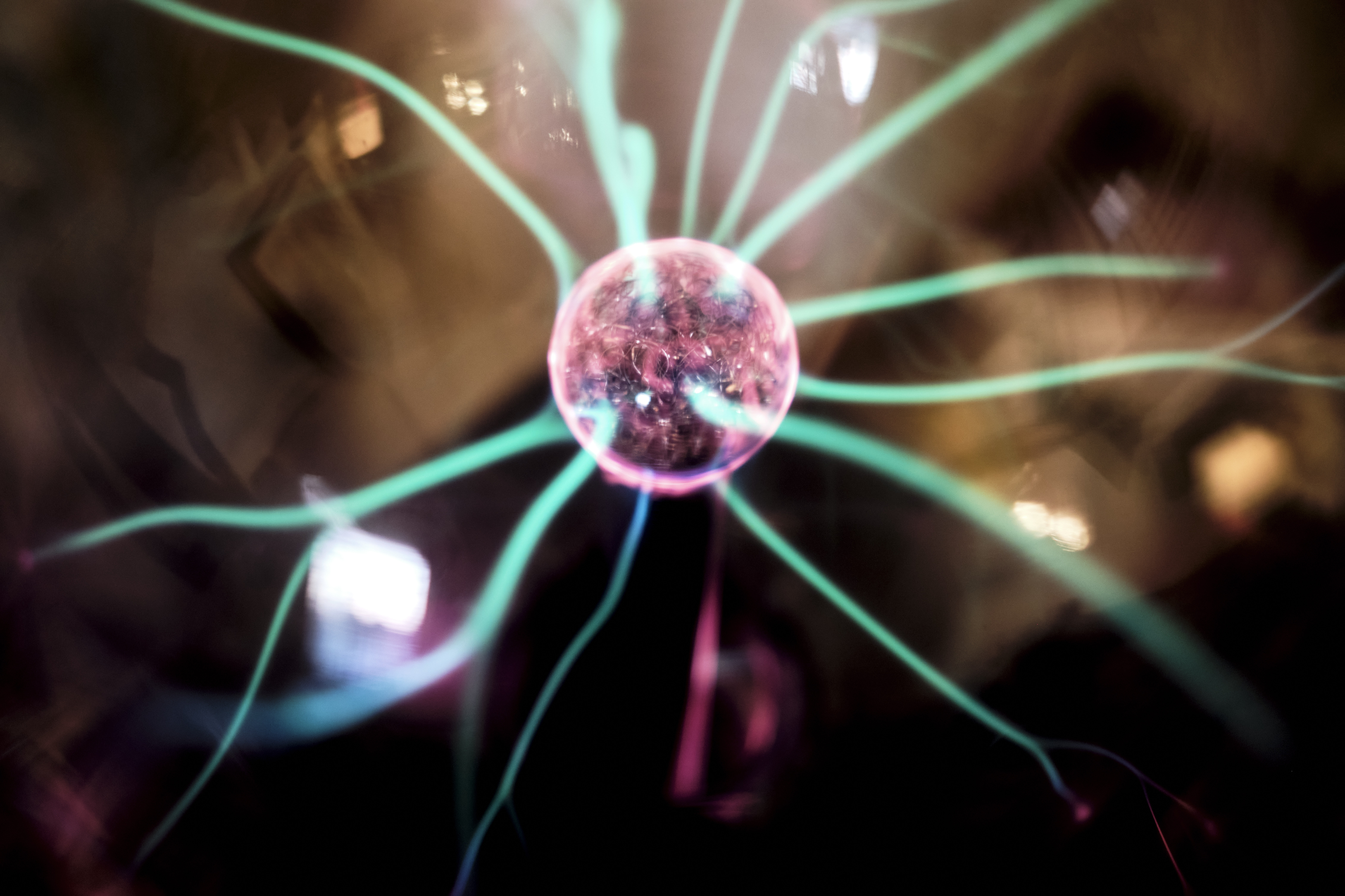 Image "DSCF1236.jpg"