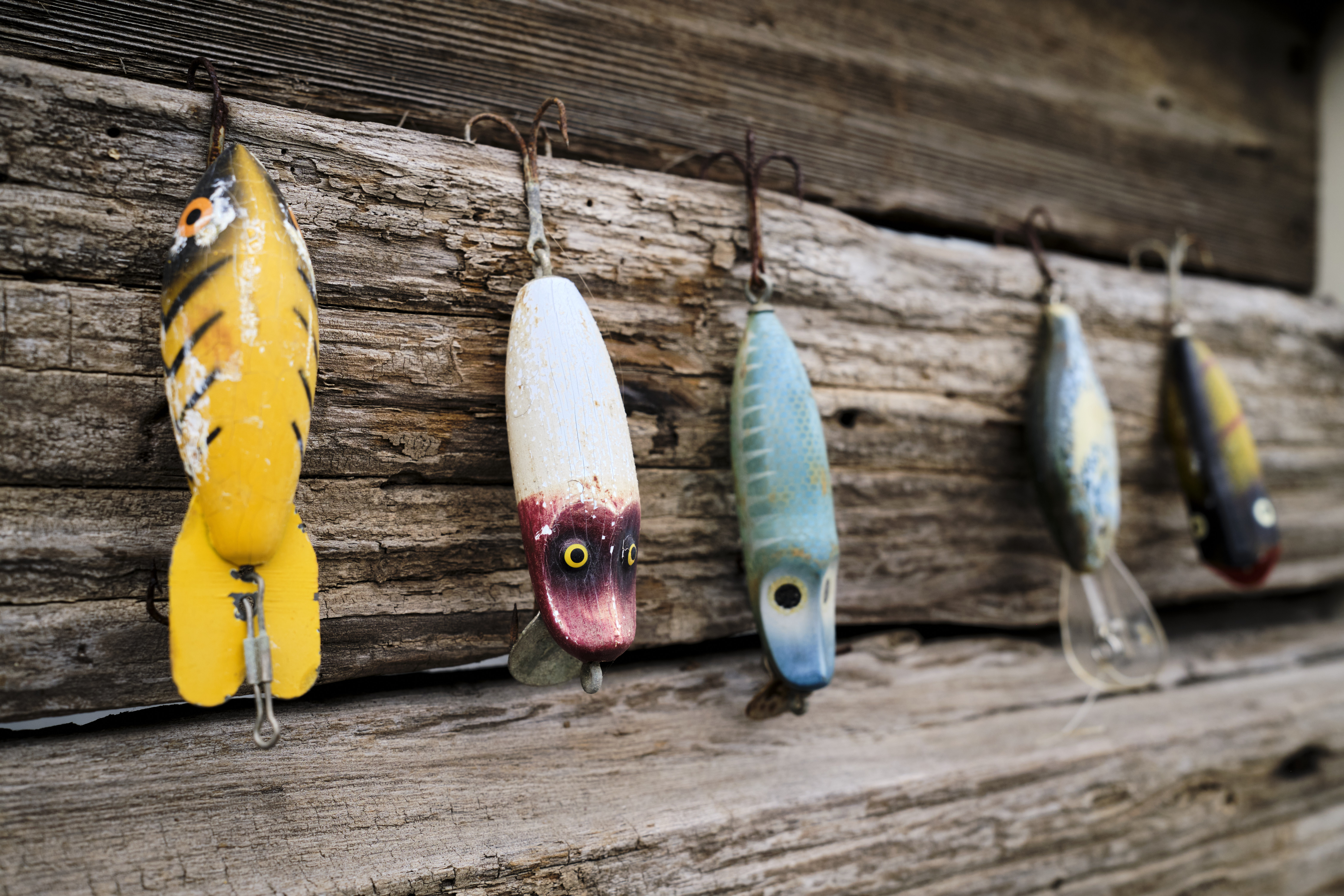 Image "DSCF3217.jpg"