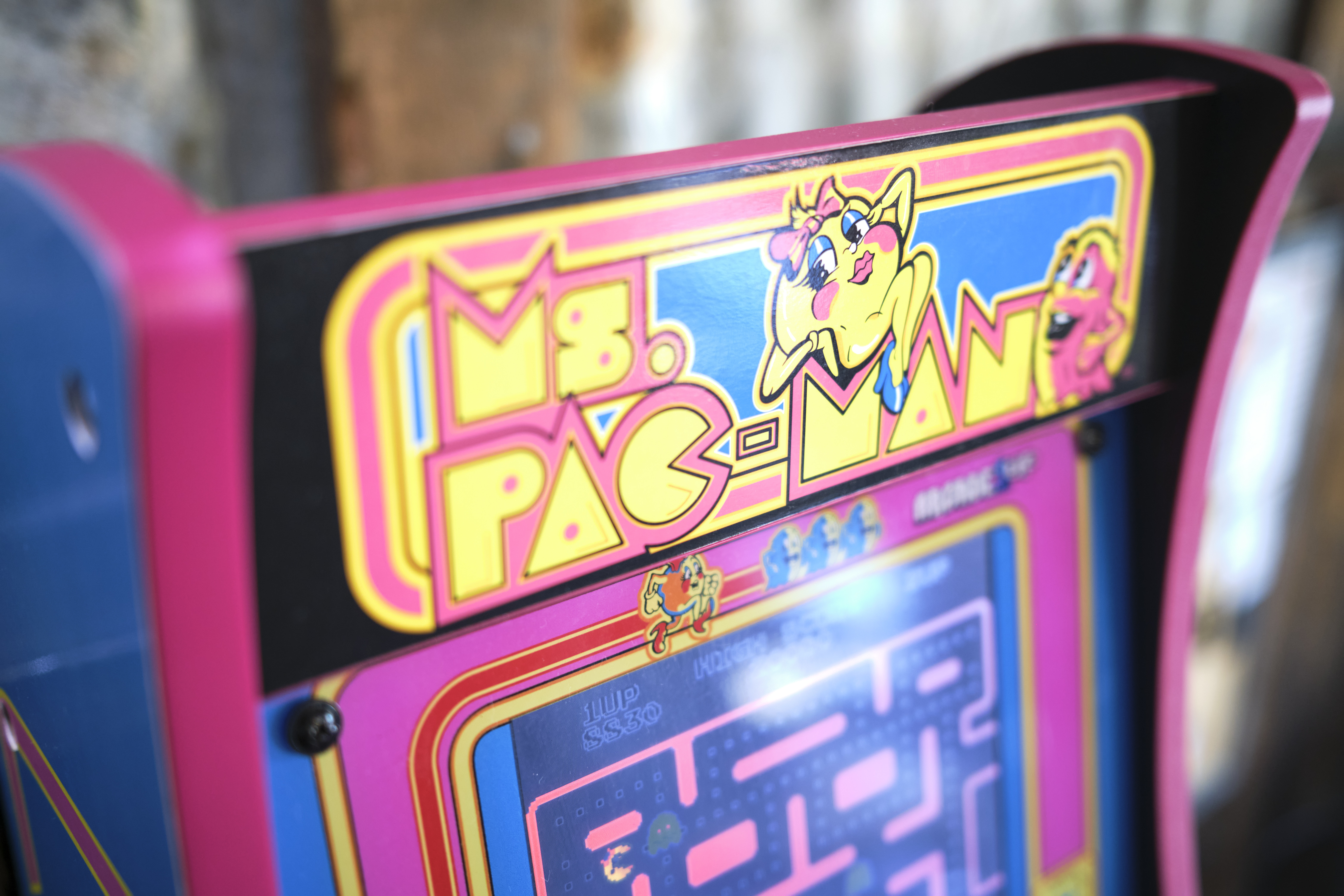 Image "DSCF0875.jpg"