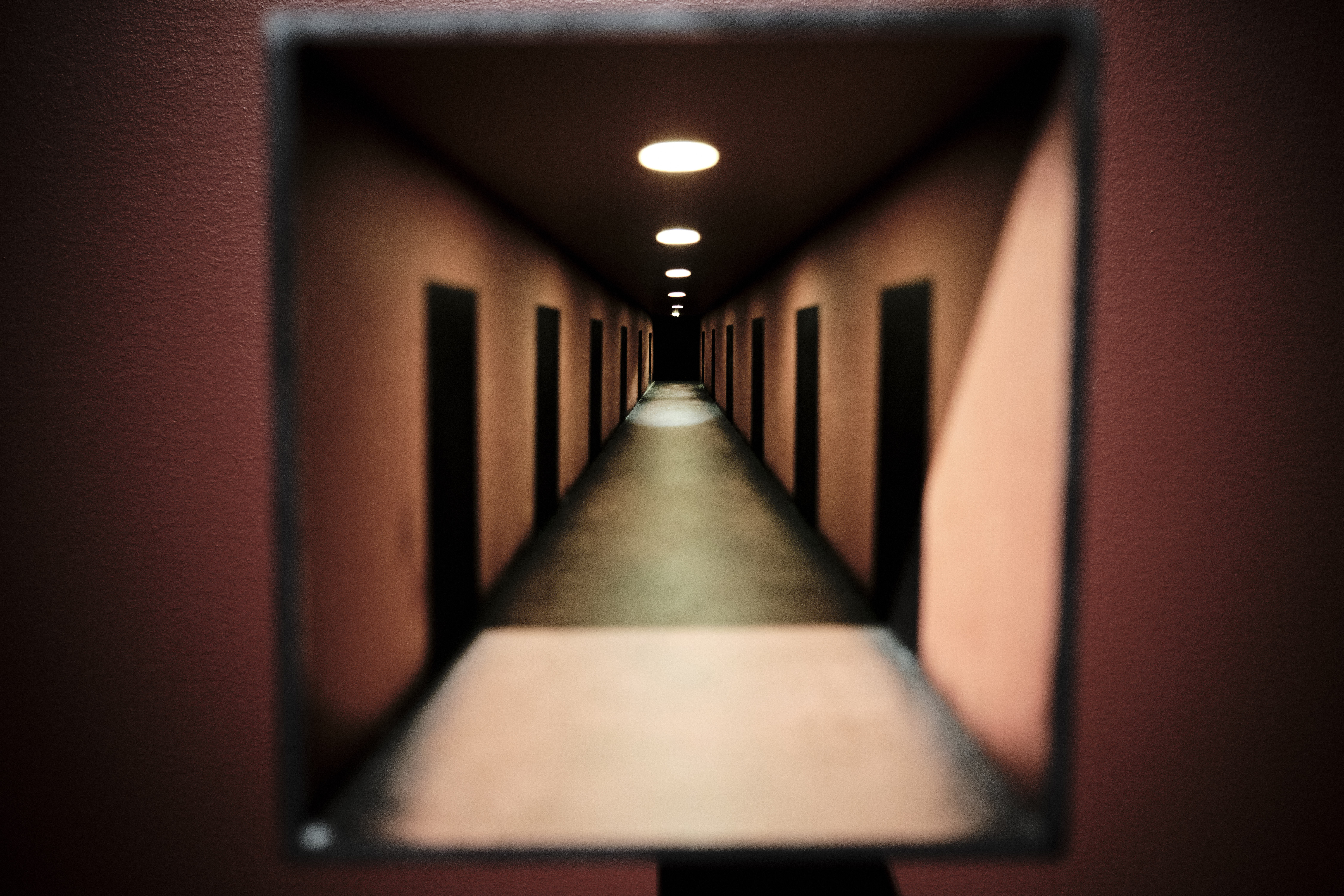 Image "DSCF4731.jpg"