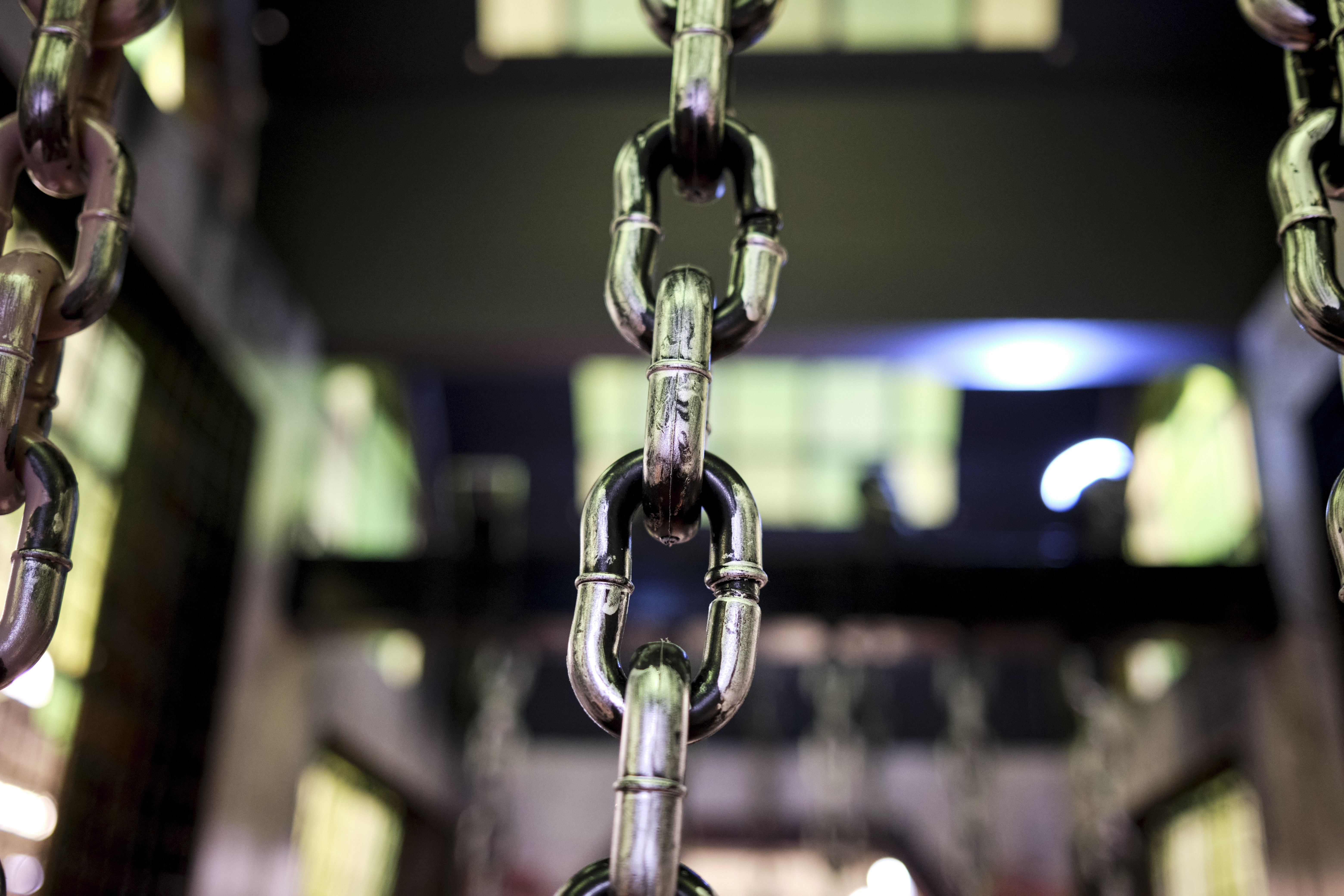 Image "DSCF1538.jpg"