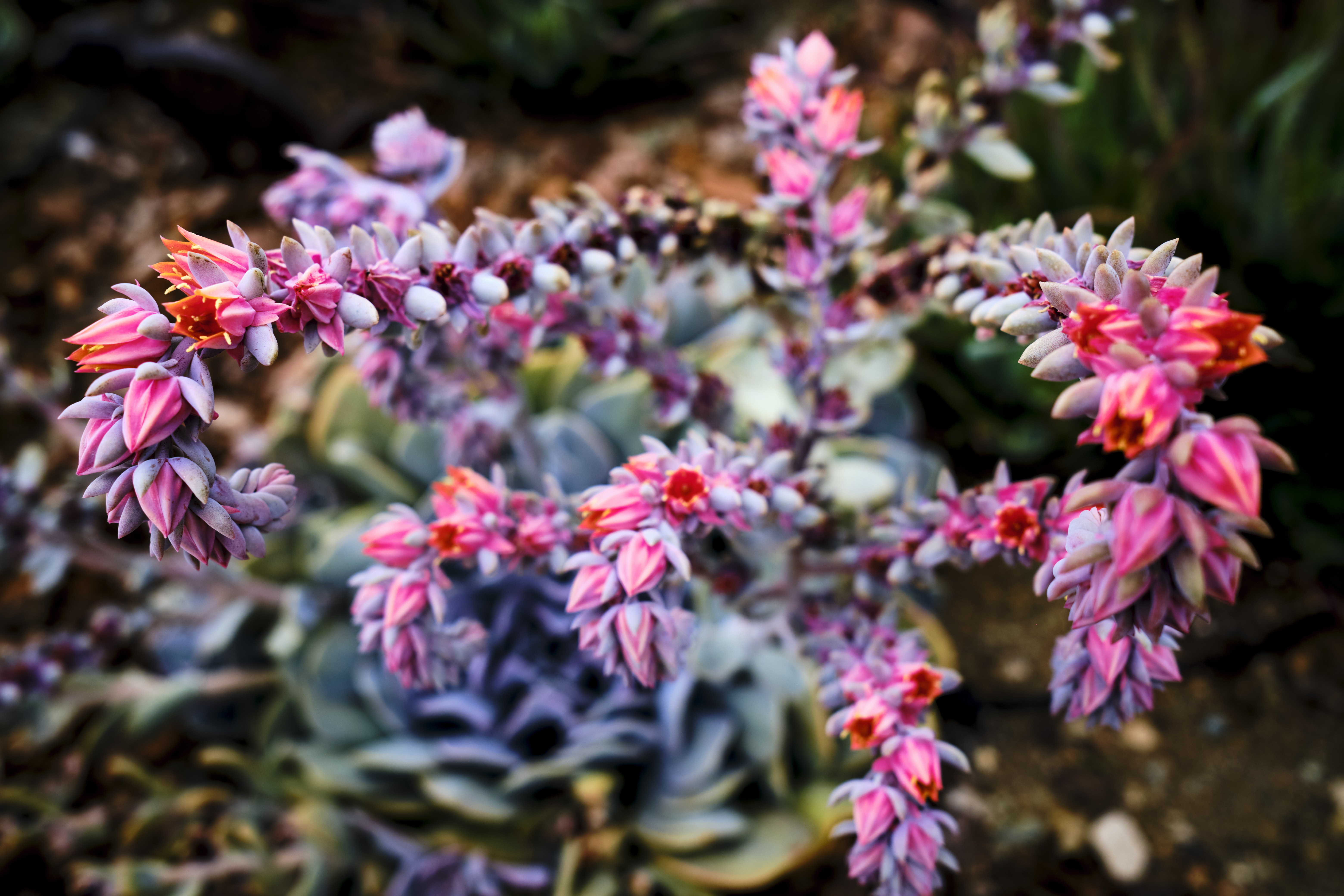 Image "DSCF1340.jpg"