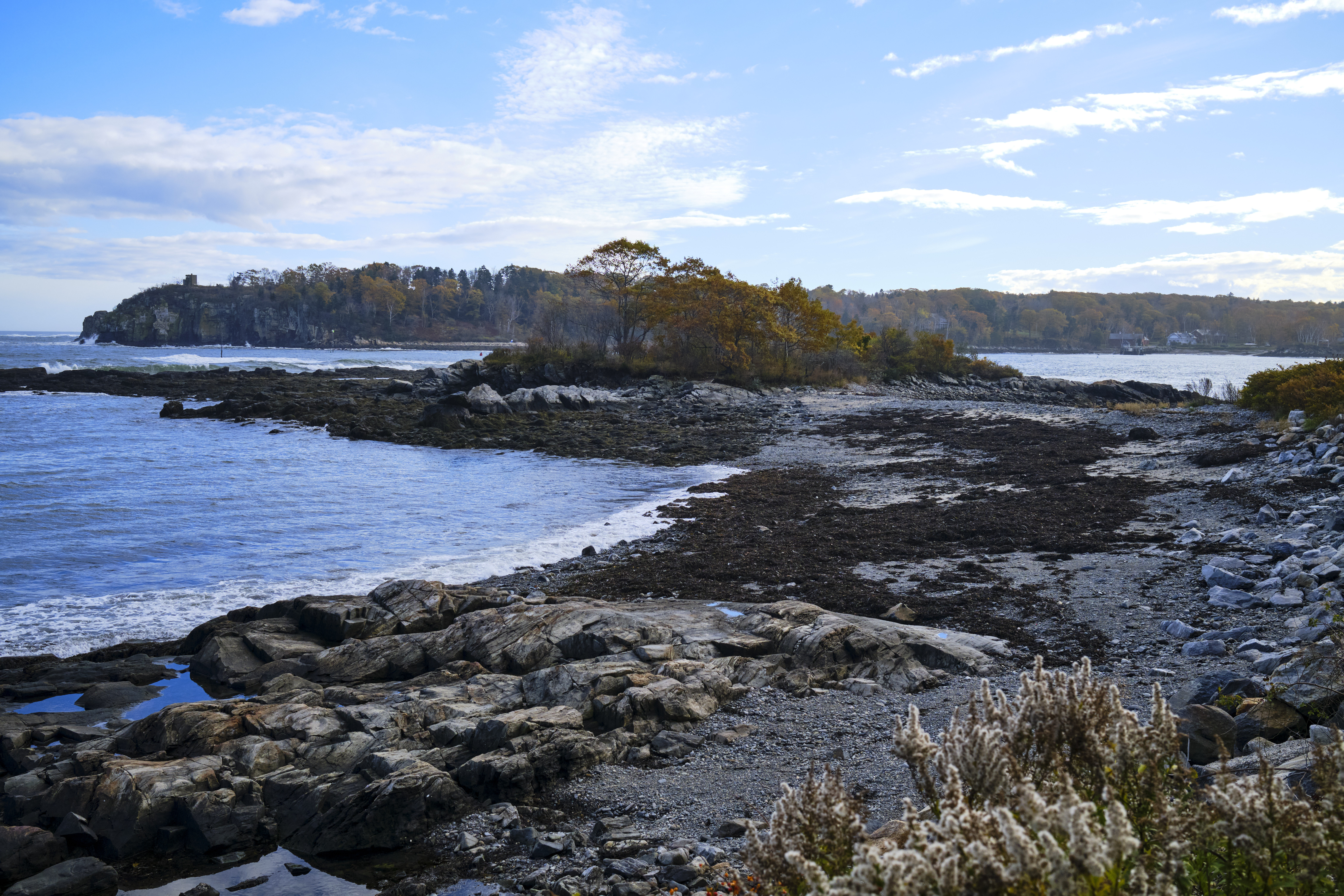 Image "DSCF2196.jpg"