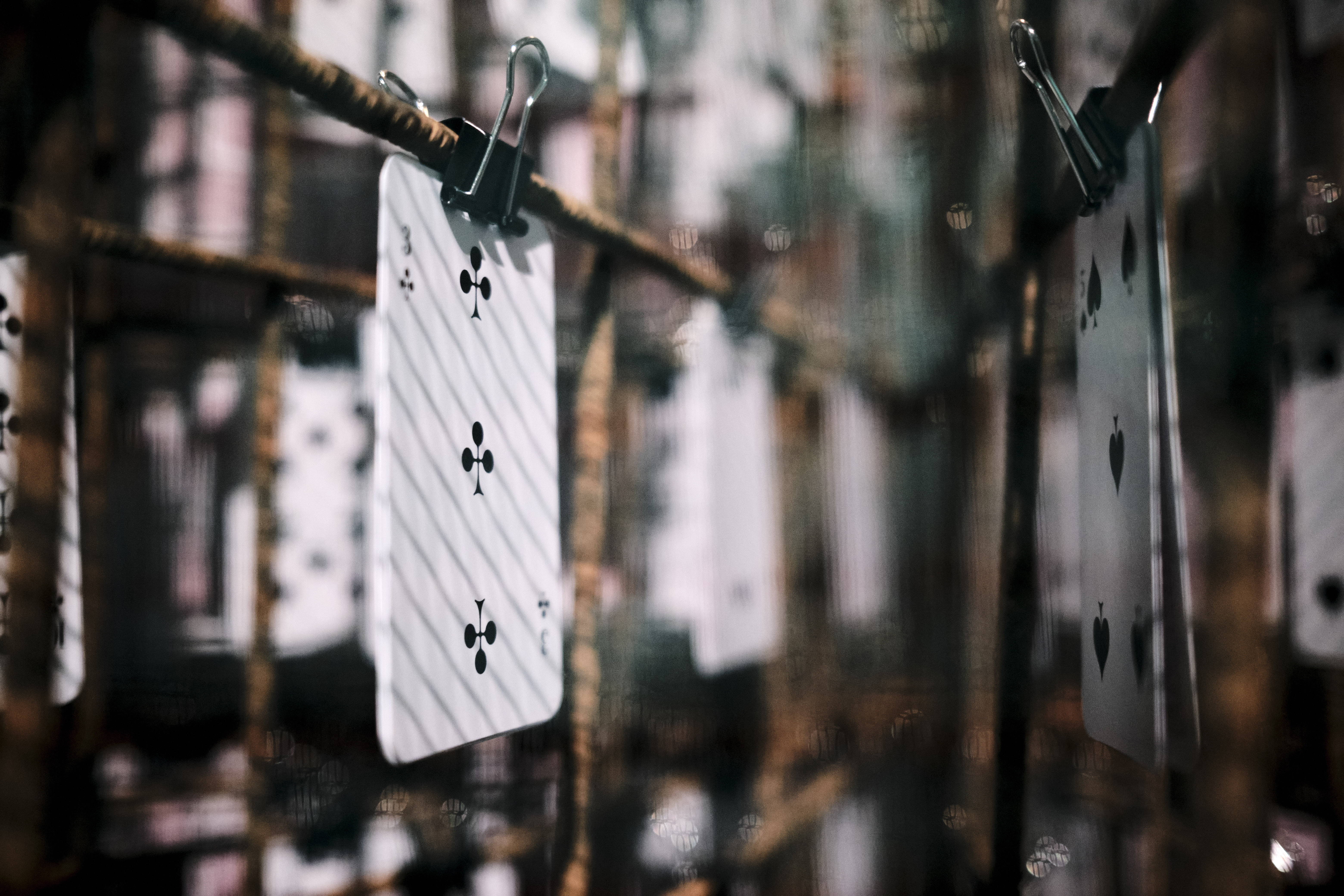 Image "DSCF4695.jpg"