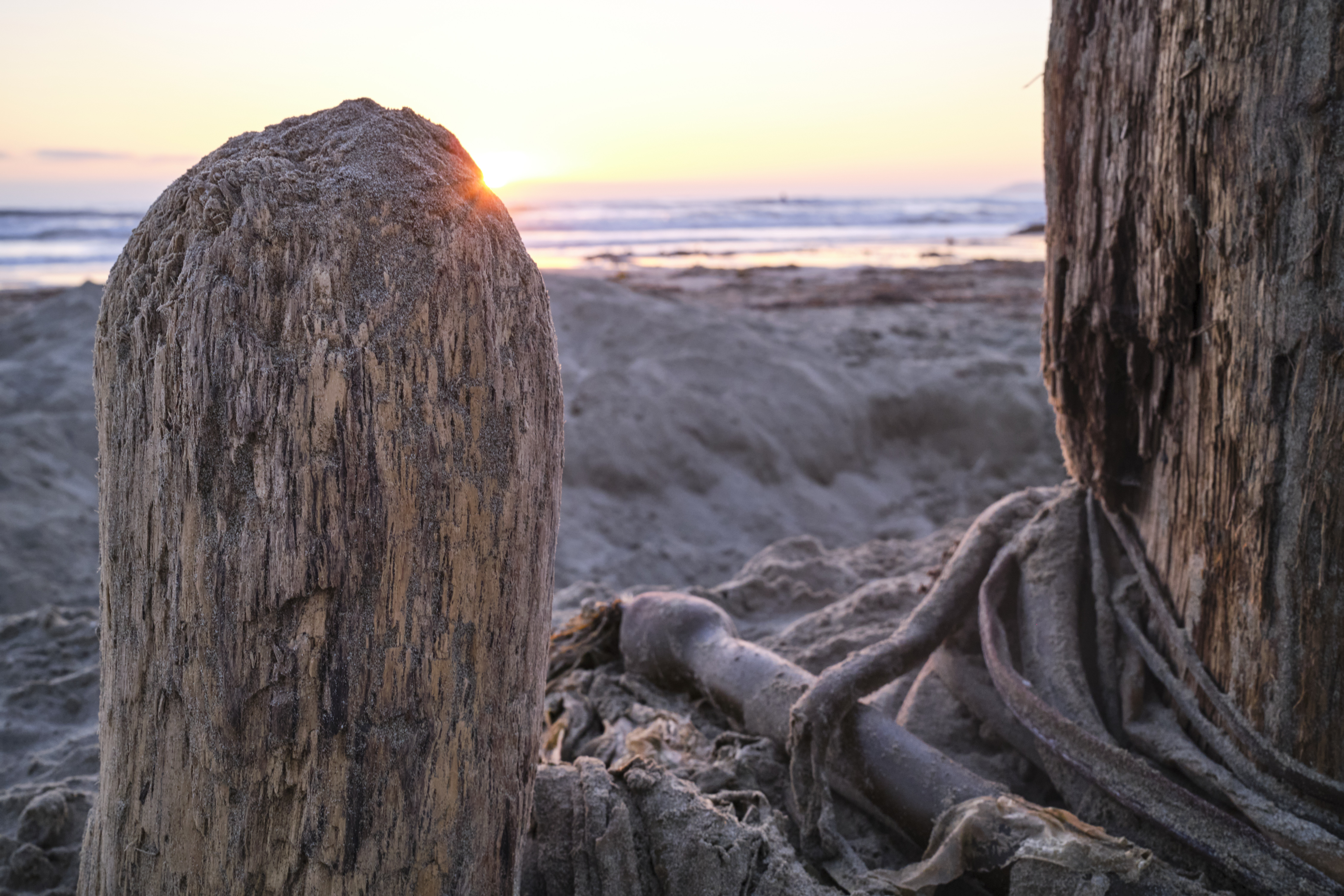 Image "DSCF0864.jpg"