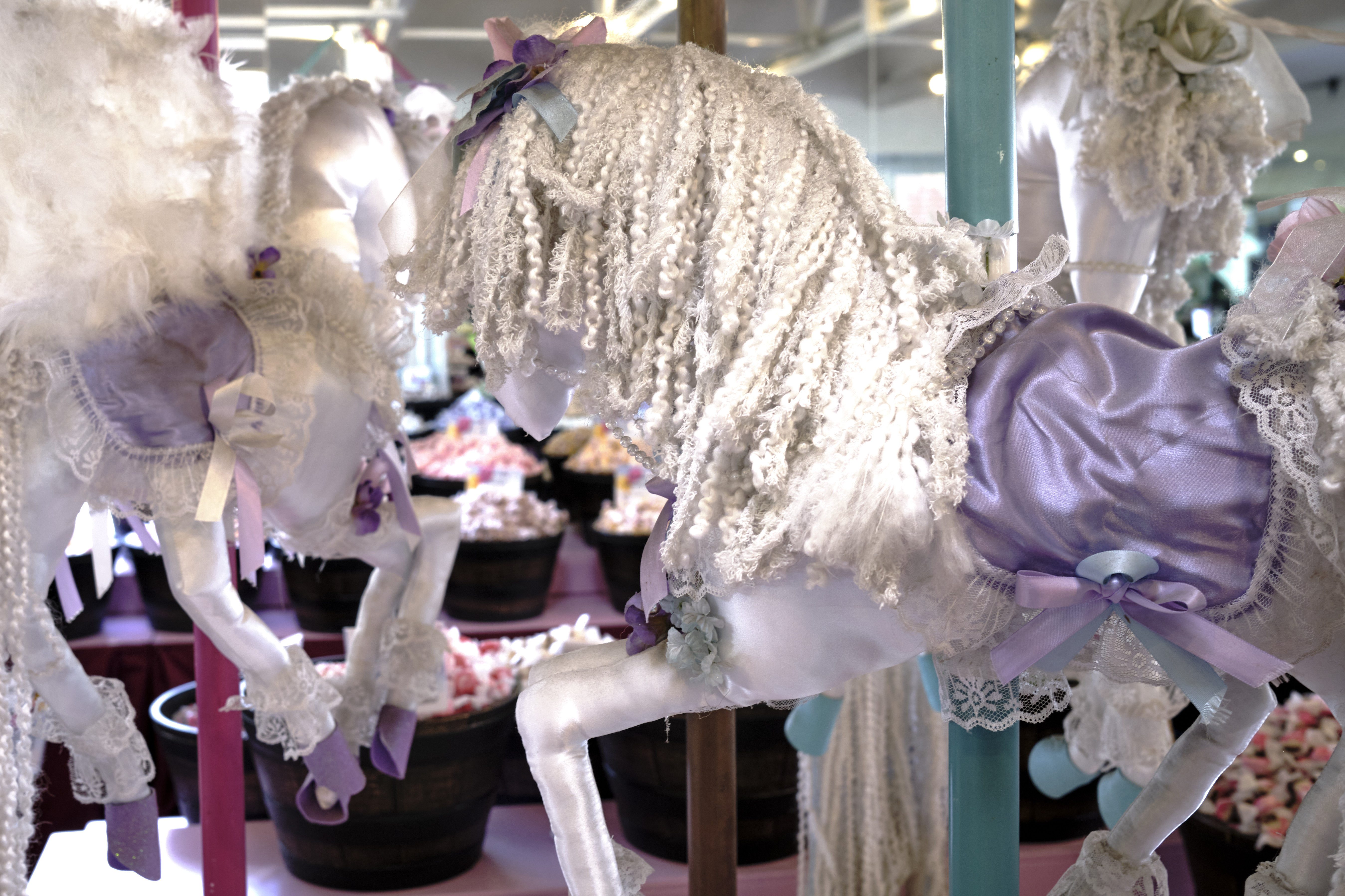 Image "DSCF3837 1.jpg"