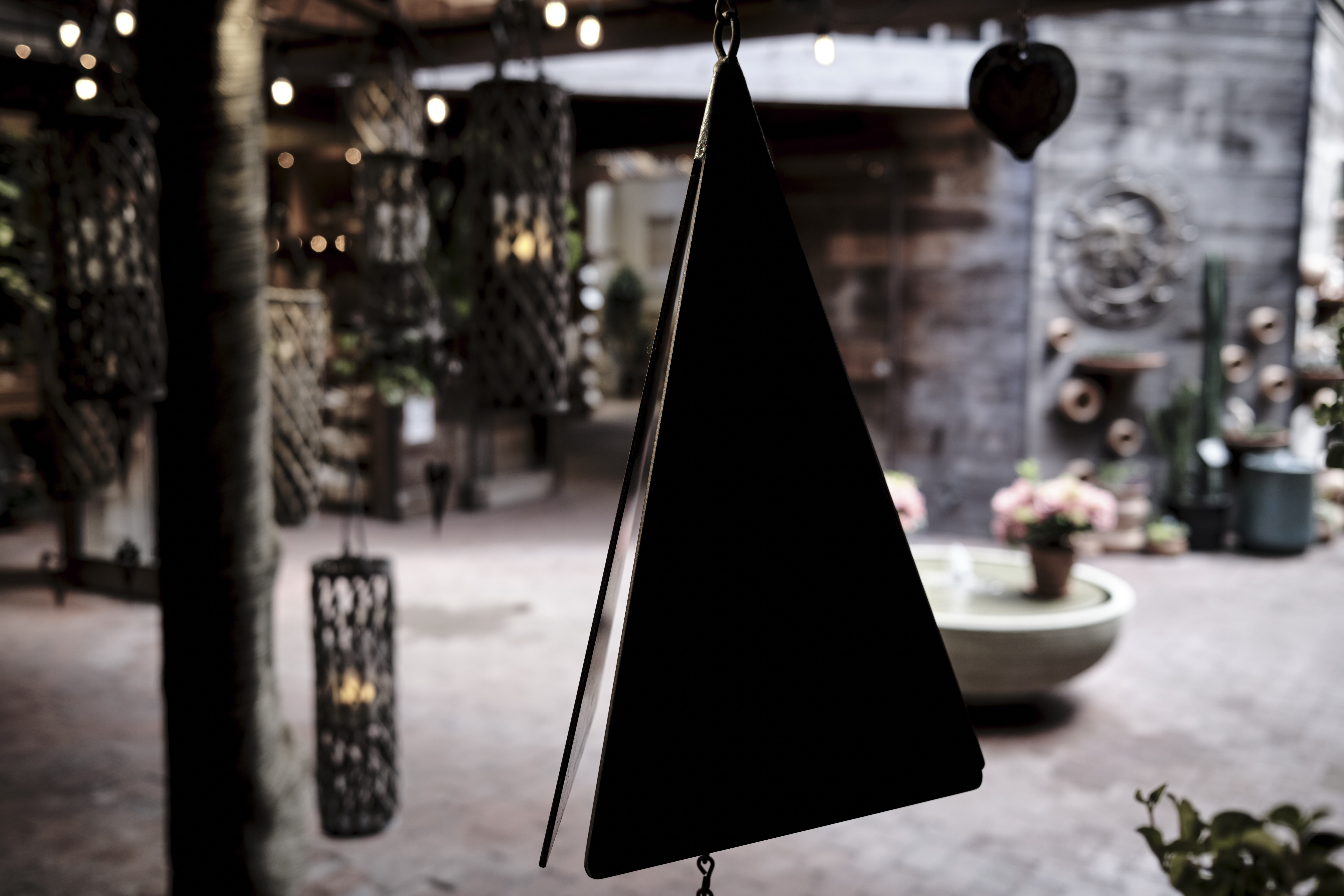 Image "DSCF3824.jpg"