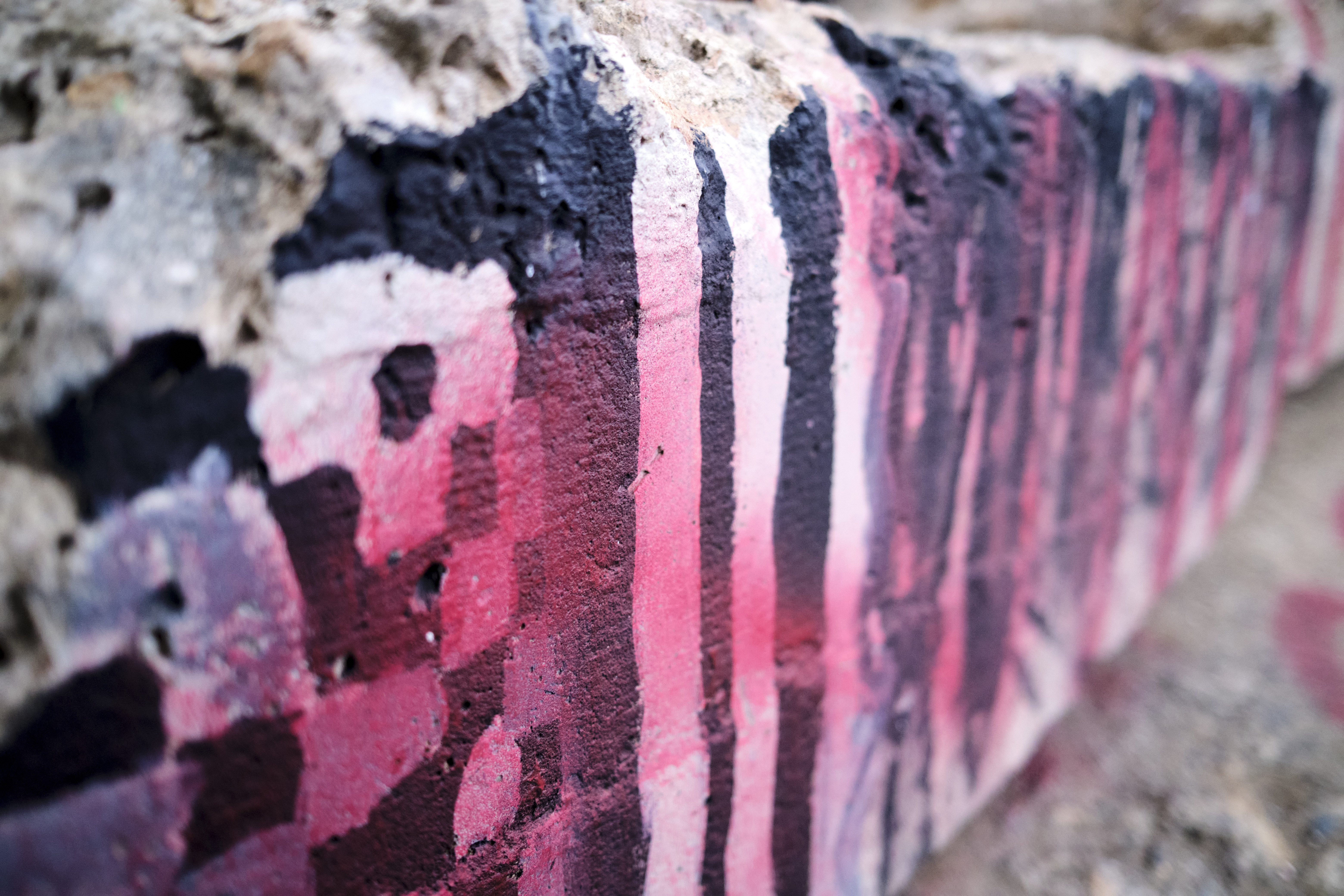 Image "DSCF0809.jpg"