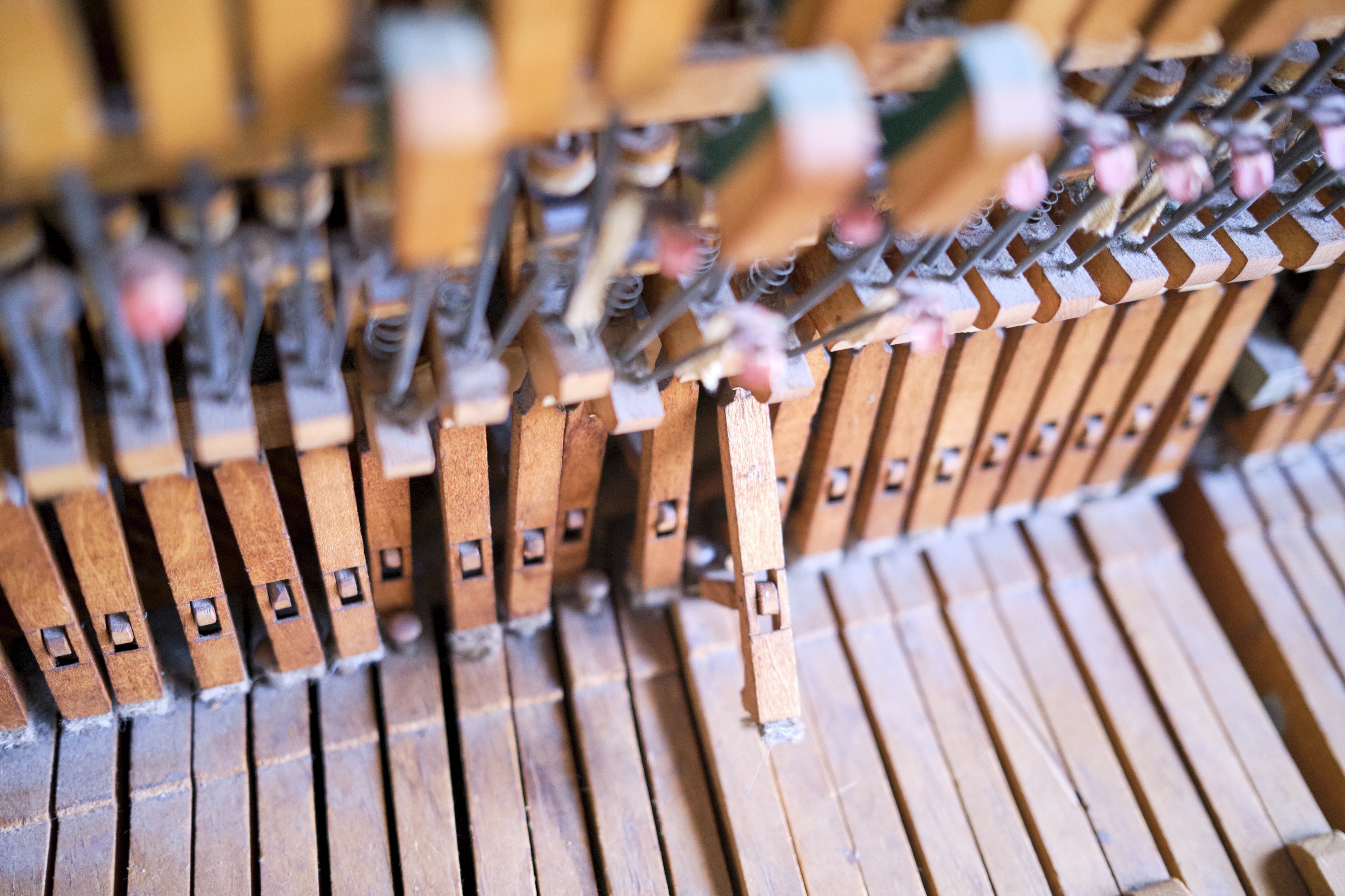 Image "DSCF0882.jpg"