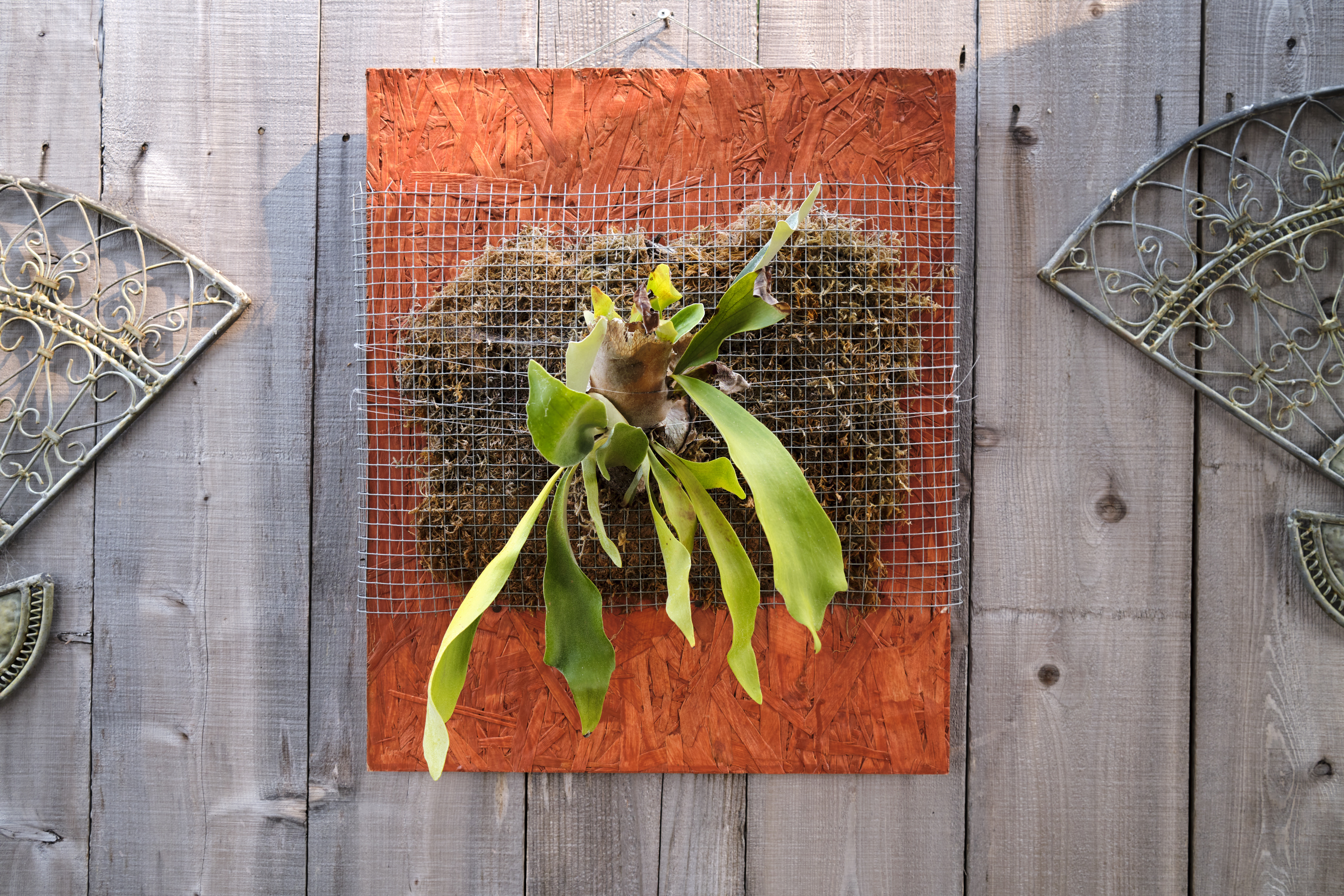 Image "DSCF1438.jpg"