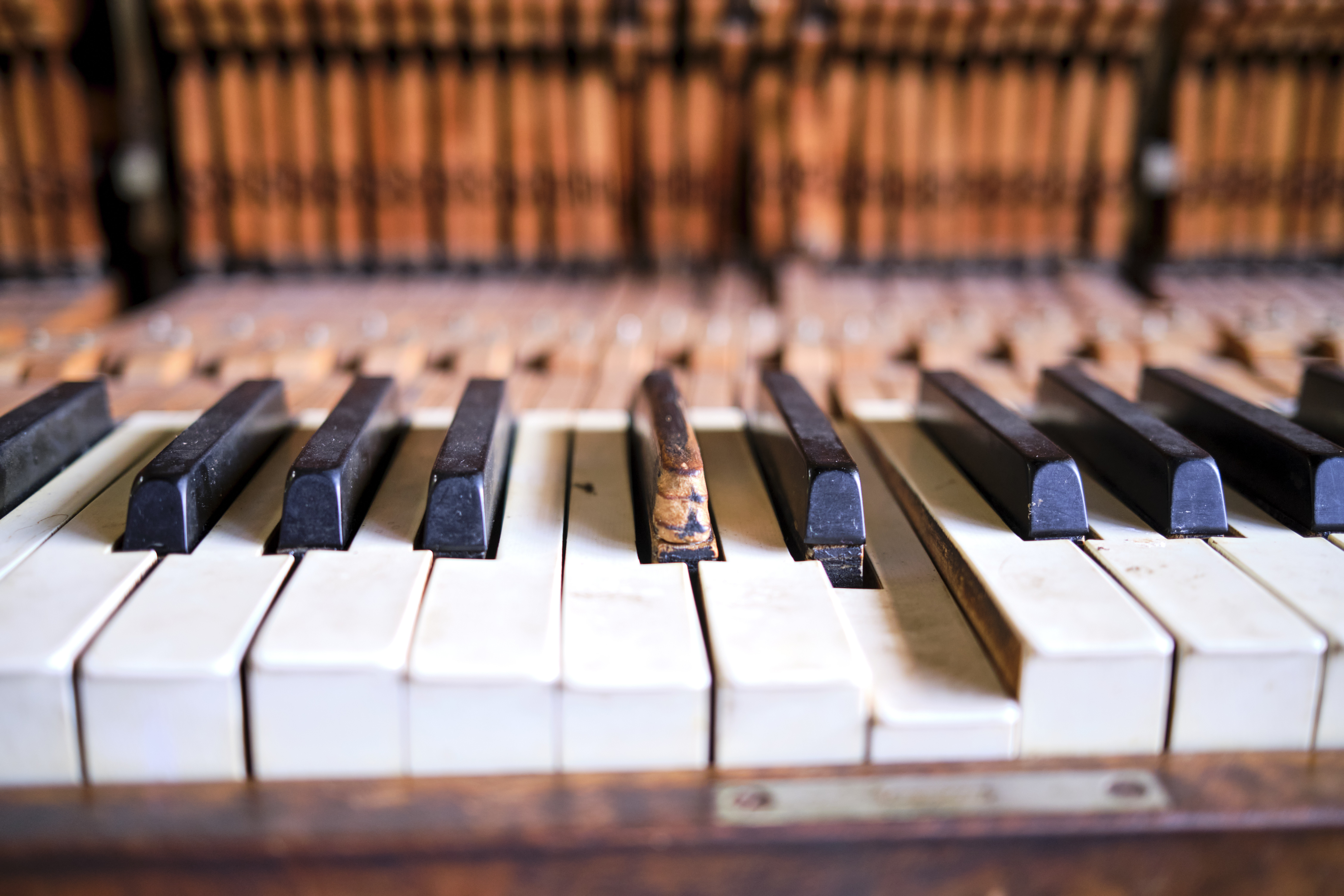 Image "DSCF0883.jpg"