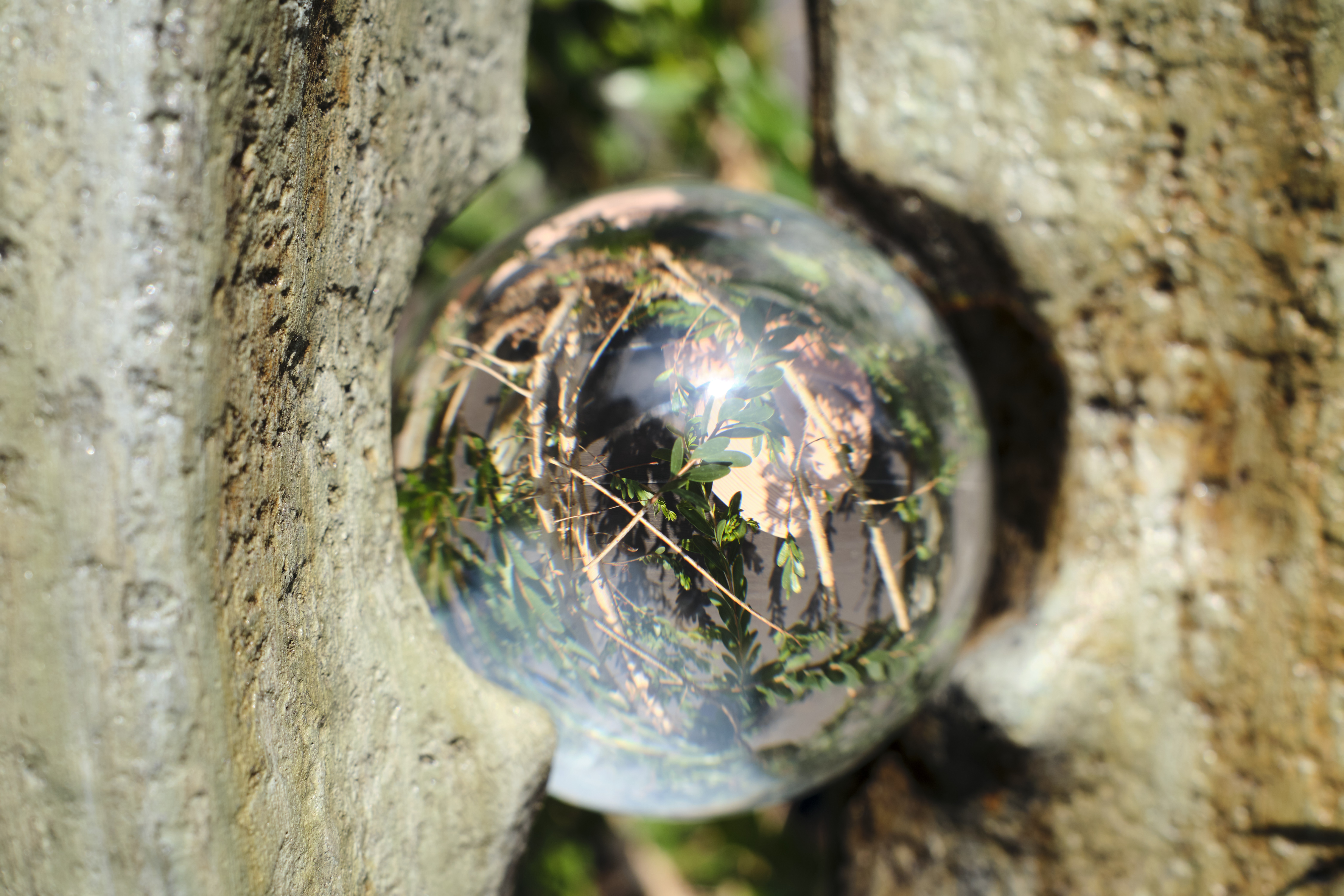 Image "DSCF0446.jpg"