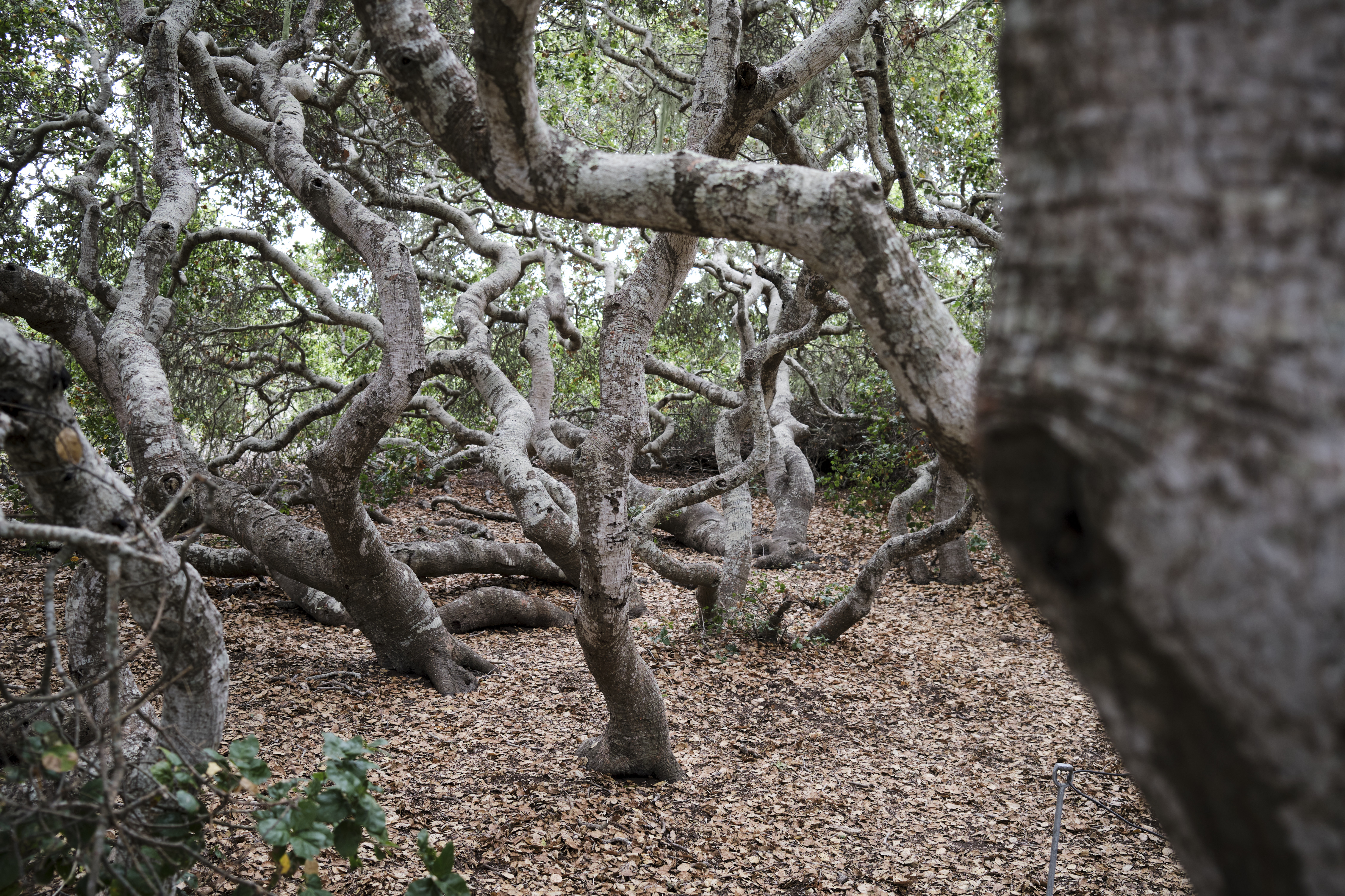 Image "DSCF0927.jpg"