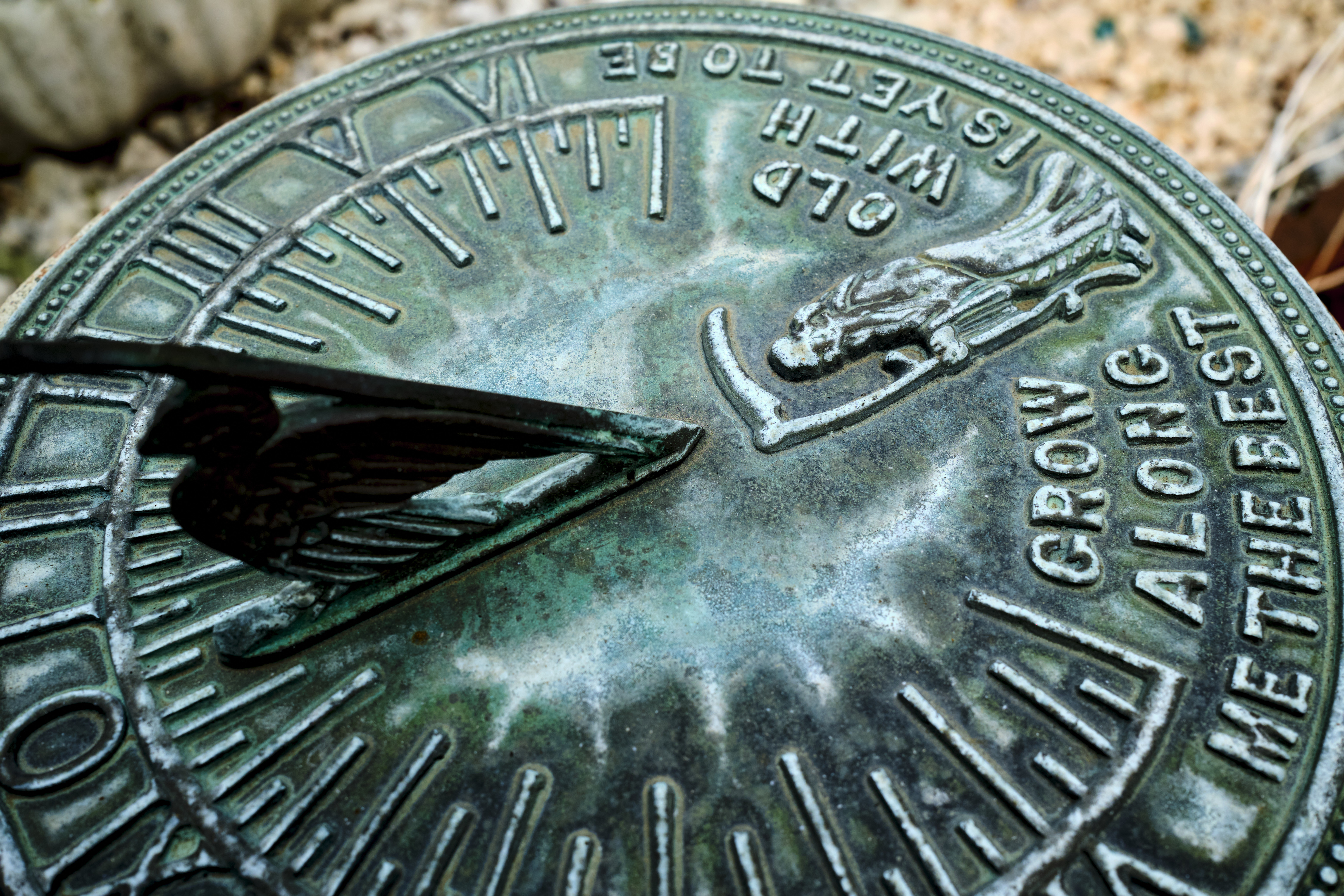 Image "DSCF1413.jpg"