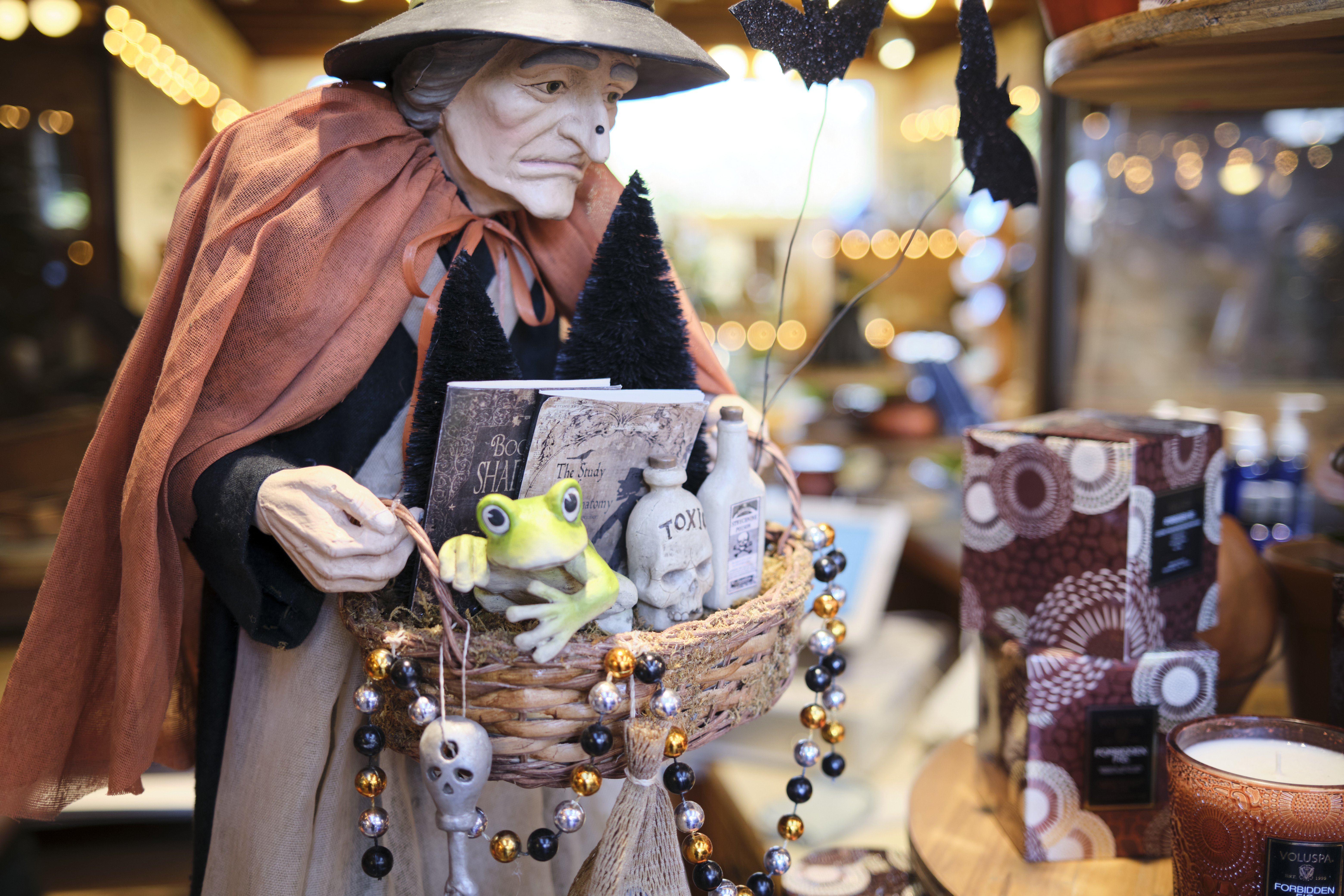 Image "DSCF0462.jpg"