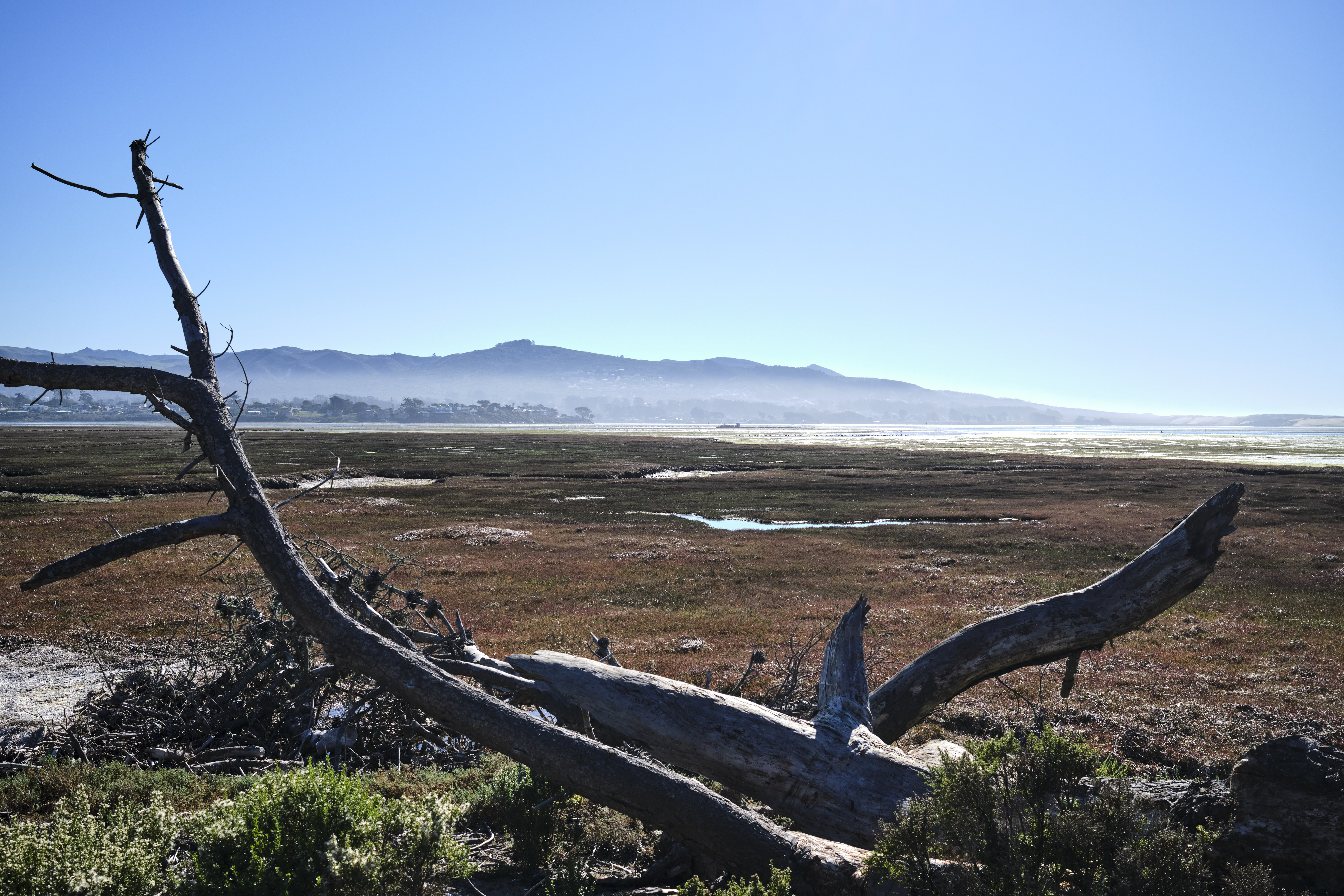 Image "DSCF2356.jpg"