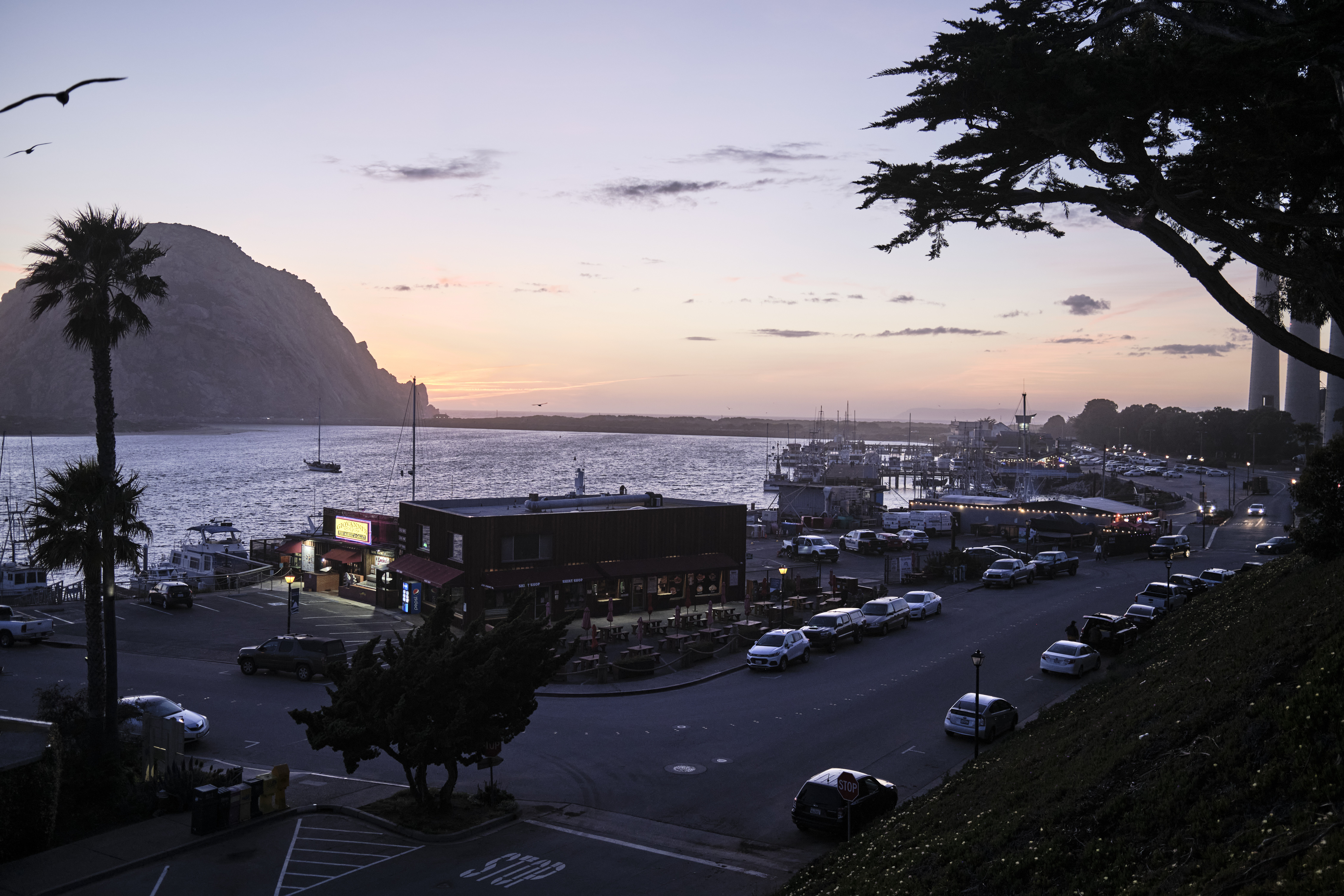 Image "DSCF3885.jpg"