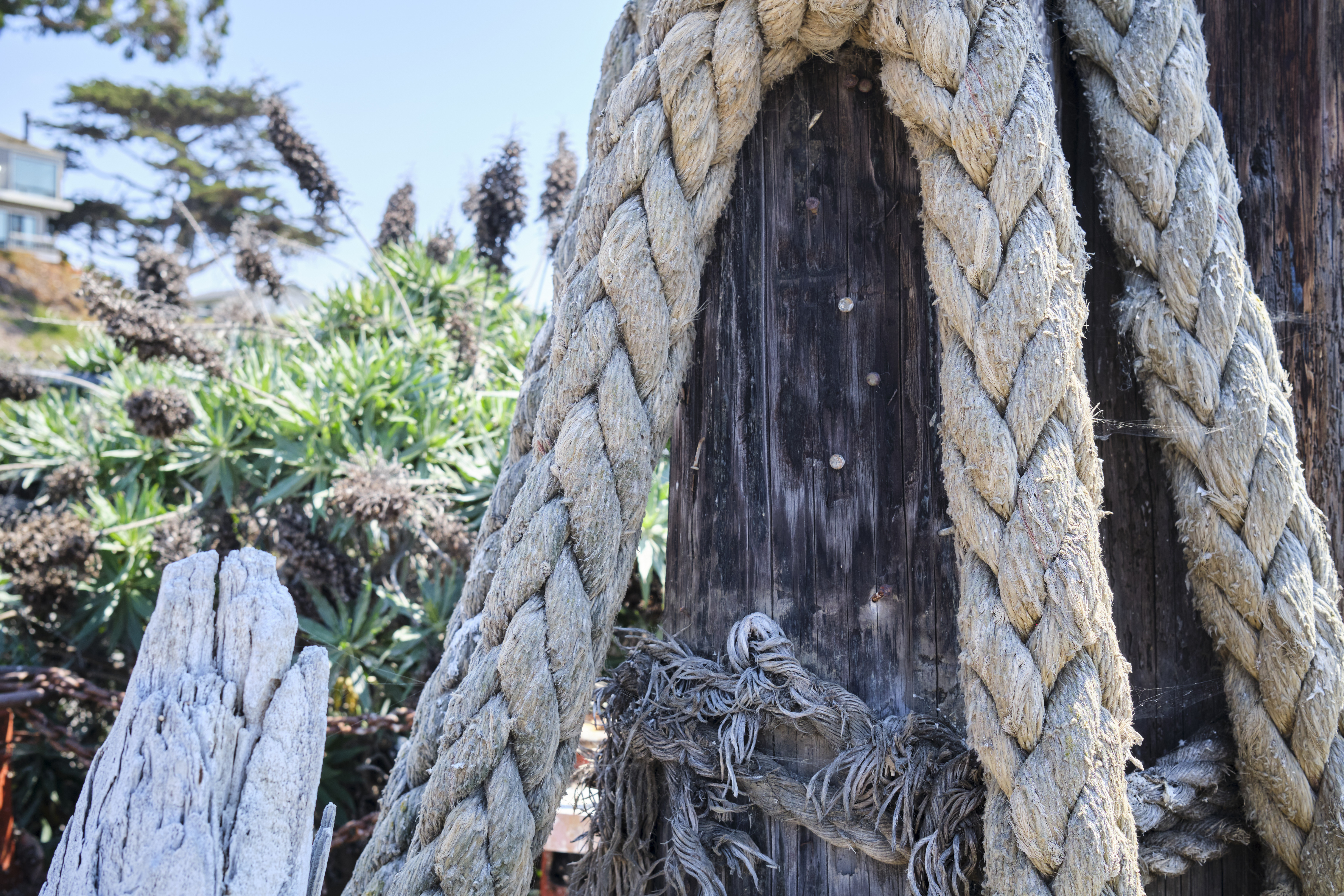 Image "DSCF0643.jpg"