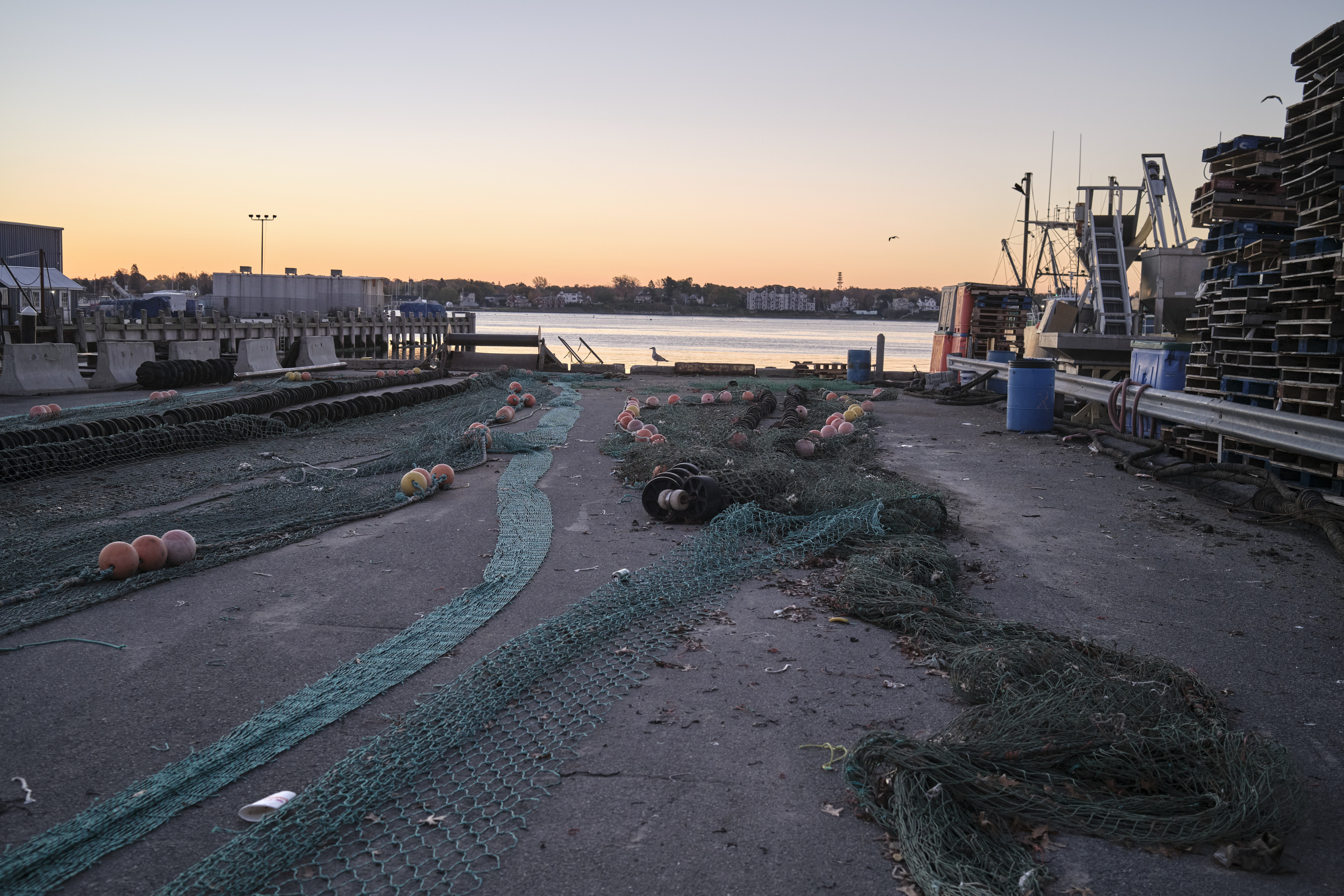 Image "DSCF2237.jpg"