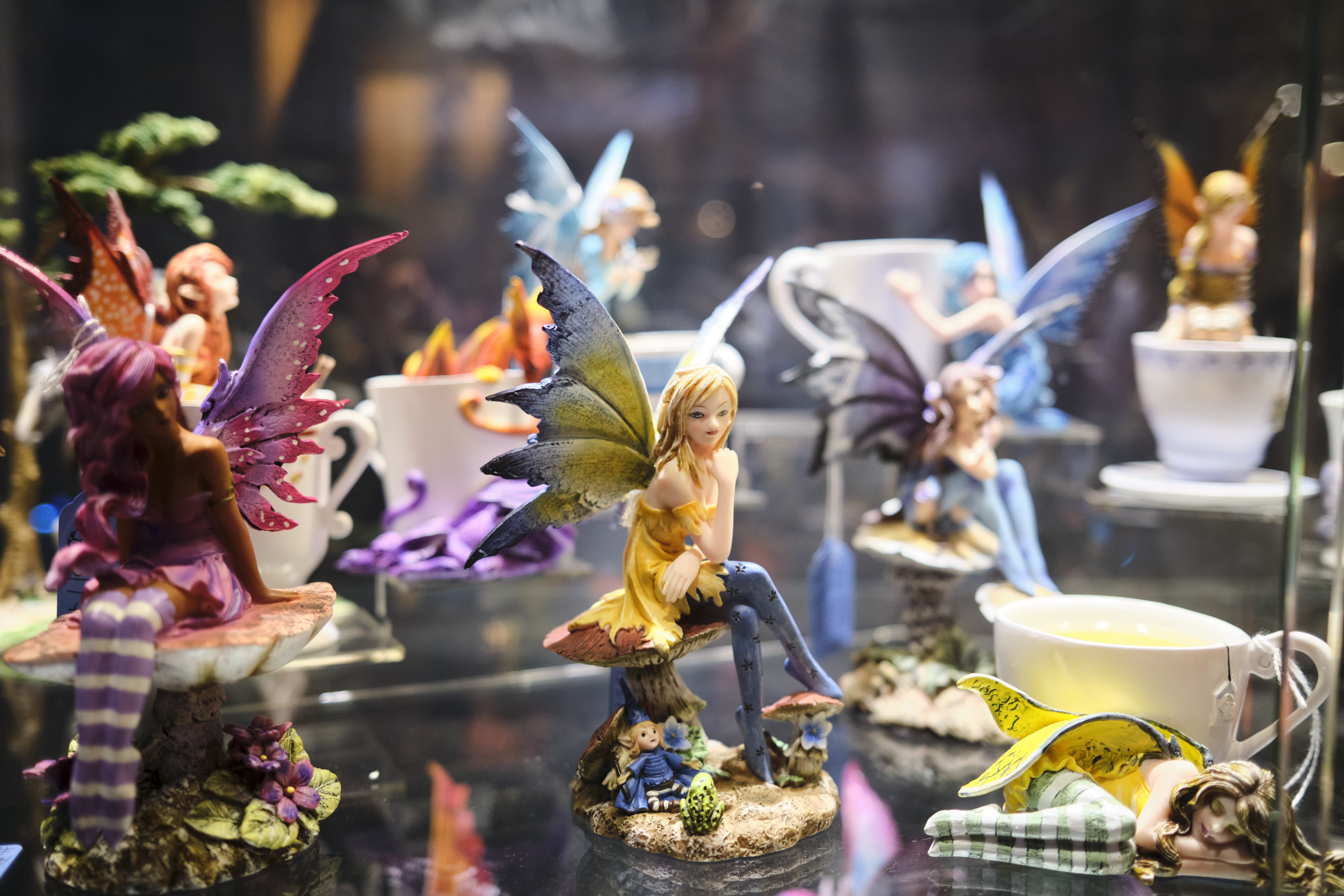 Image "DSCF0419.jpg"