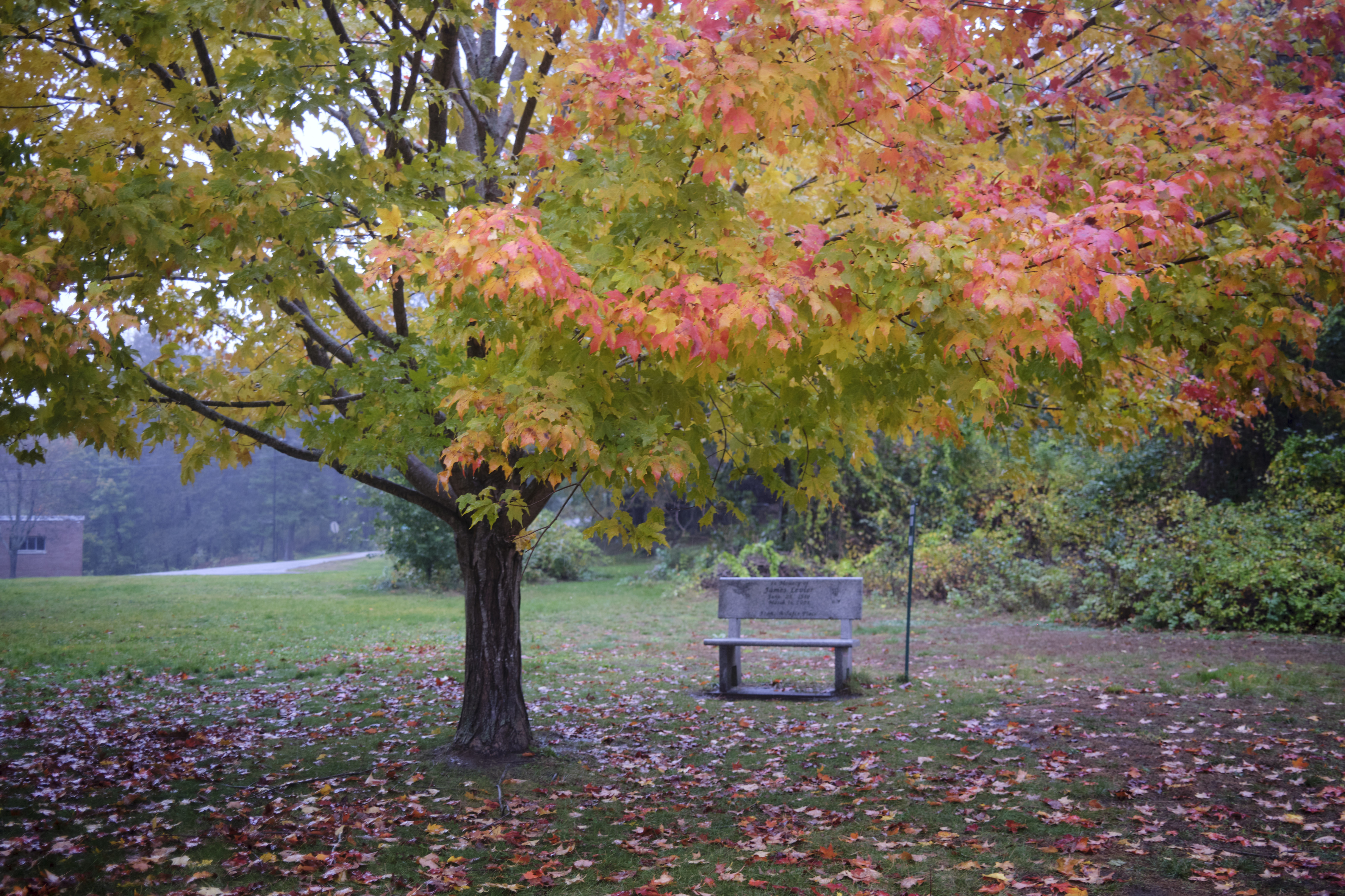 Image "DSCF2067.jpg"