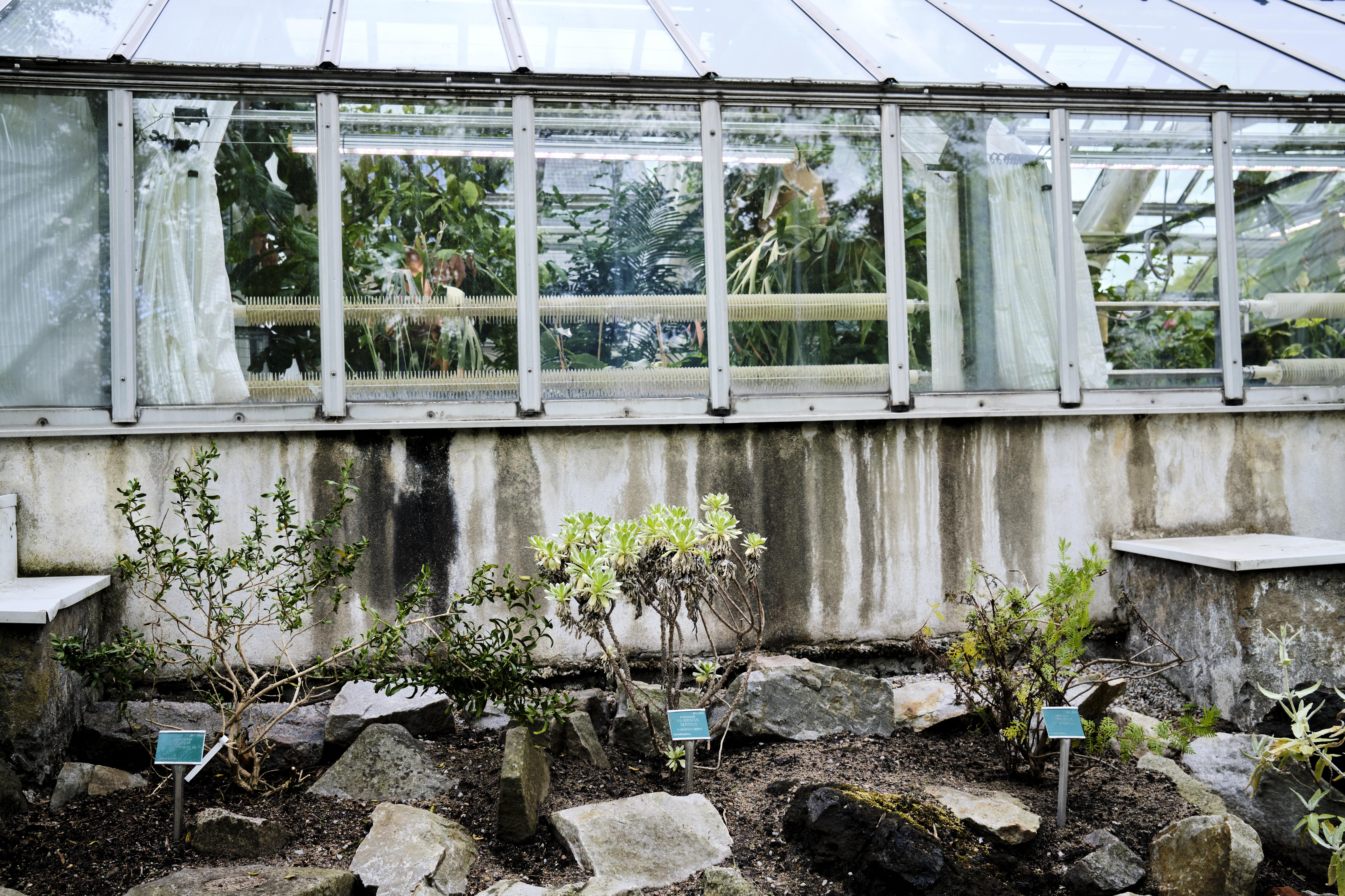 Image "DSCF4583.jpg"