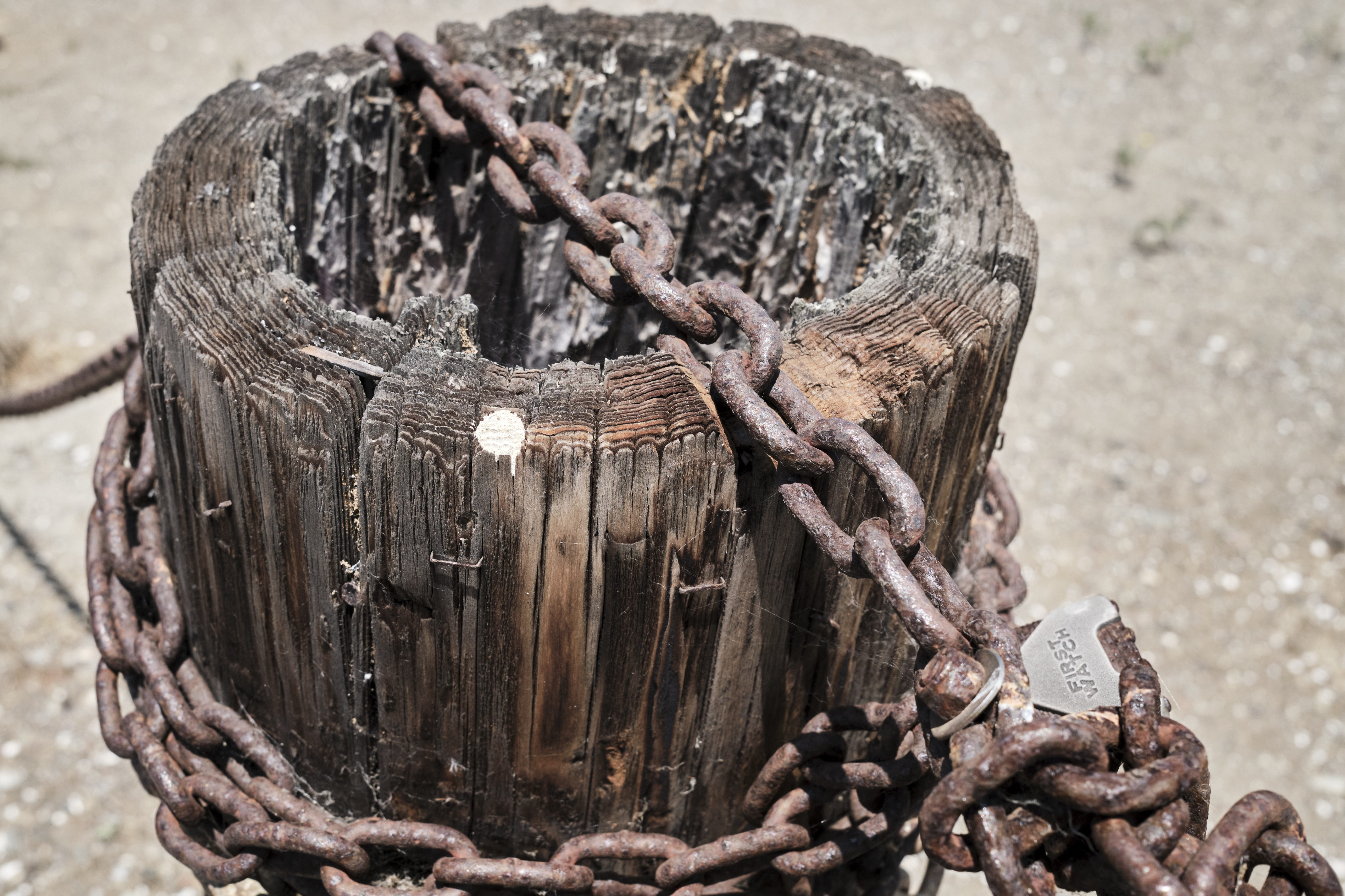 Image "DSCF0623 2.jpg"