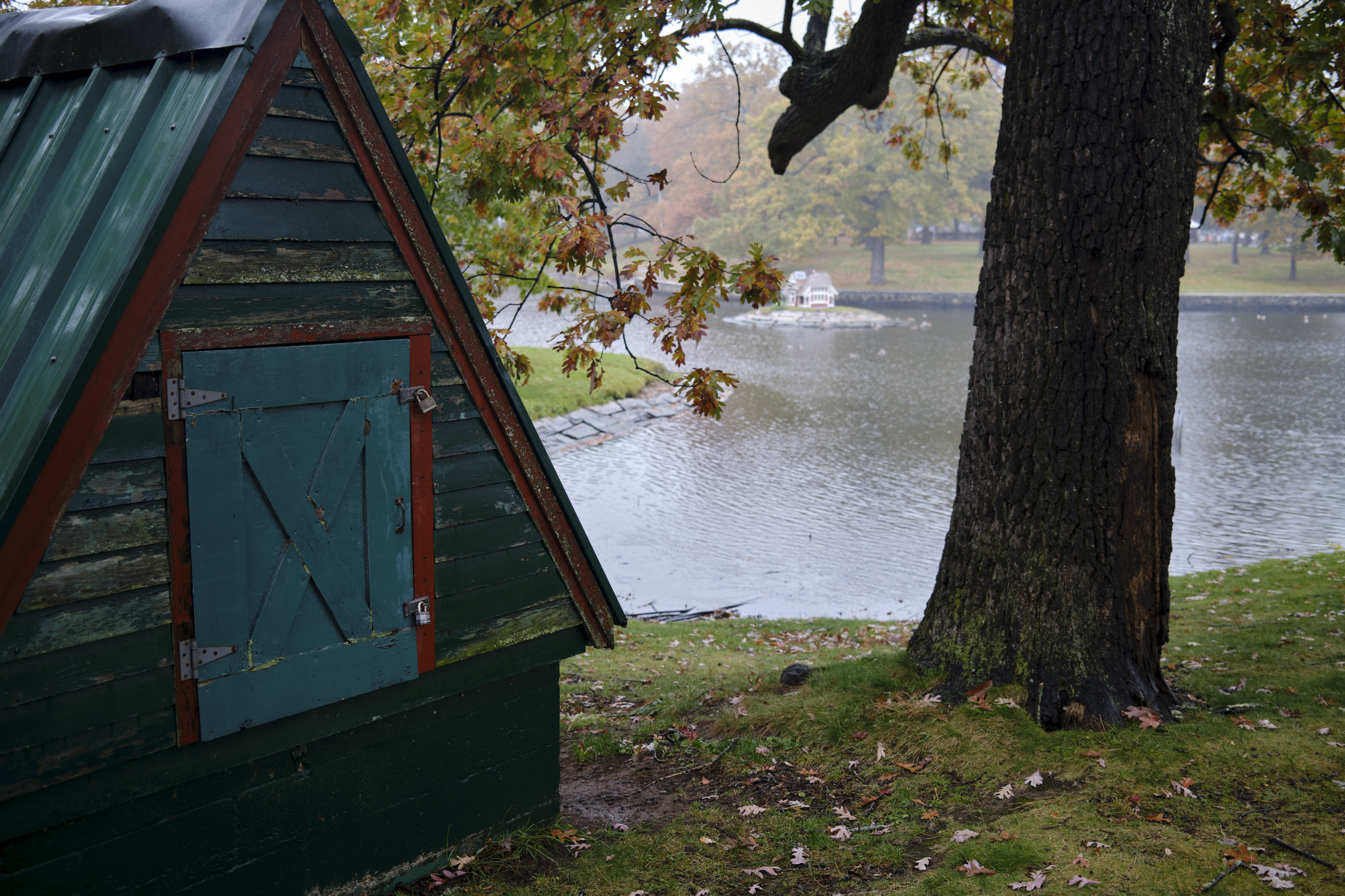 Image "DSCF1978.jpg"