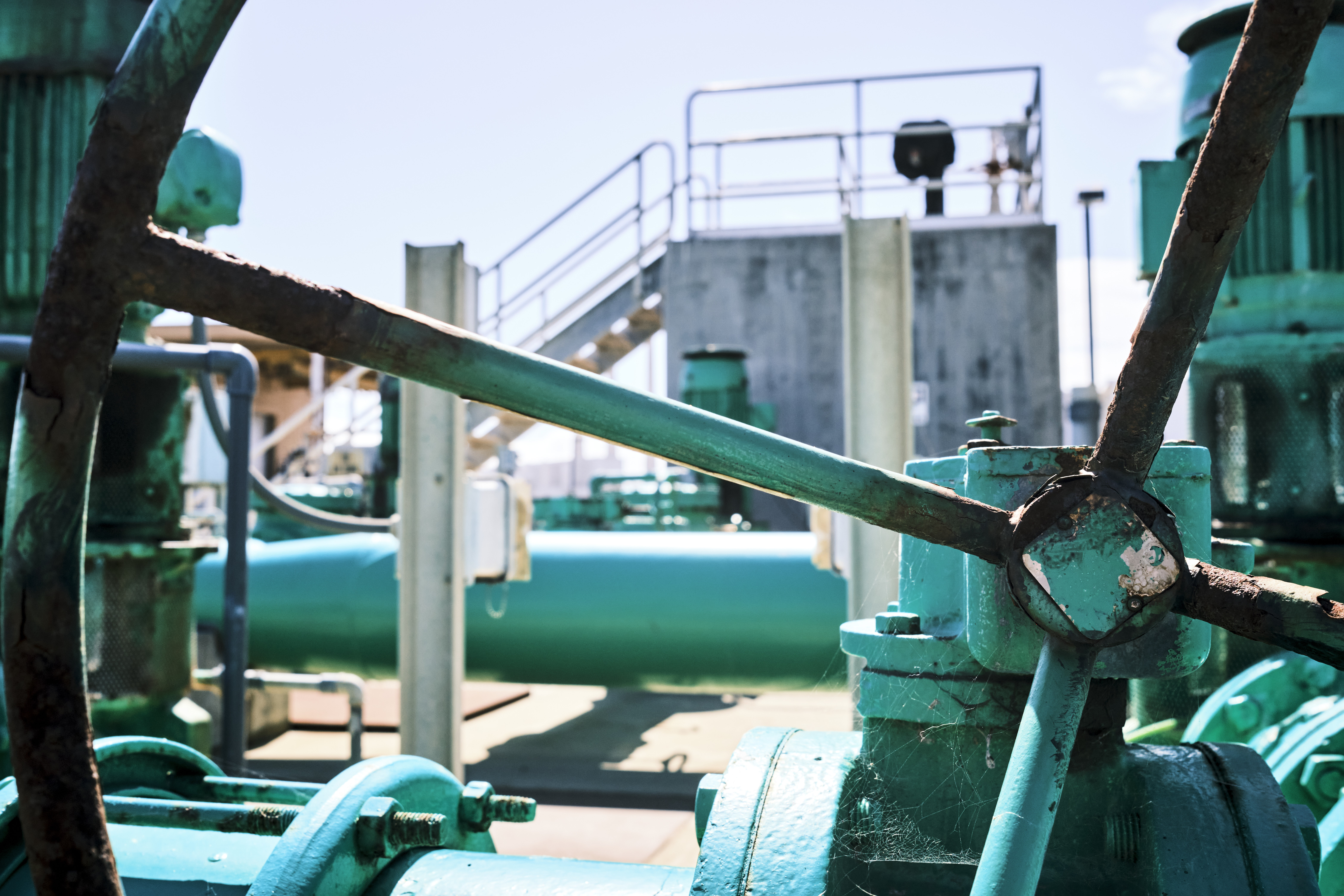 Image "DSCF3517 2.jpg"