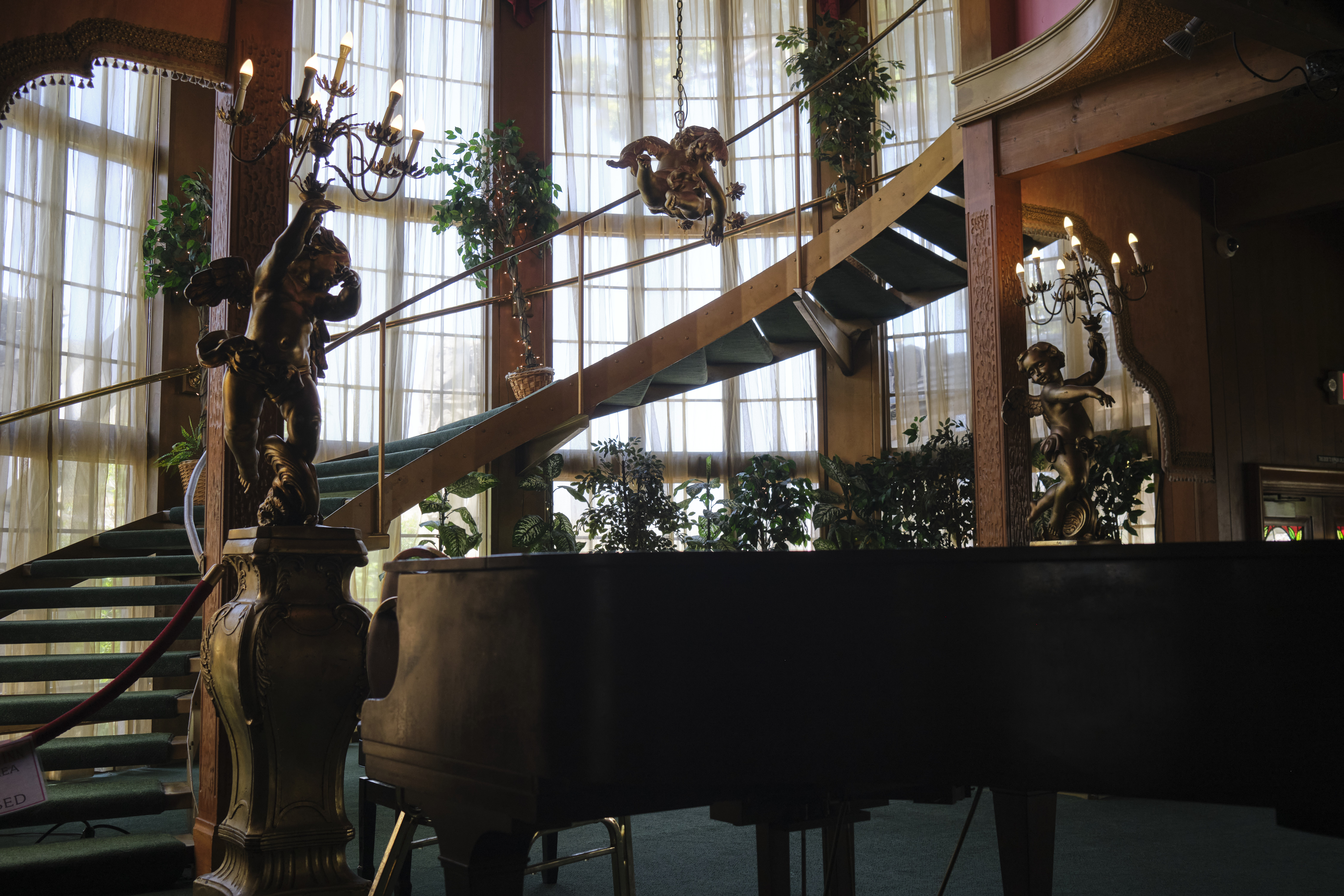 Image "DSCF5902 3.jpg"