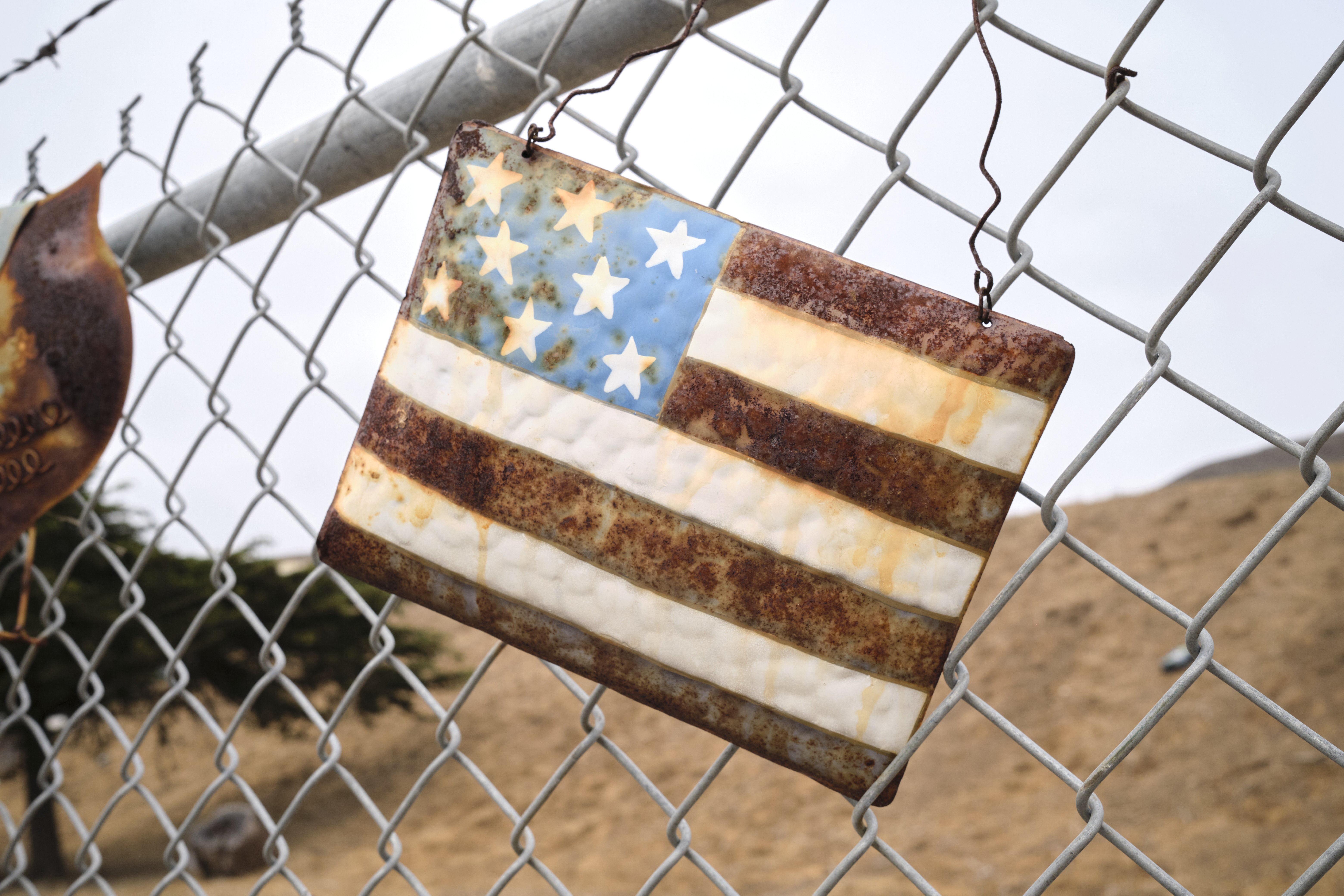 Image "DSCF0323.jpg"