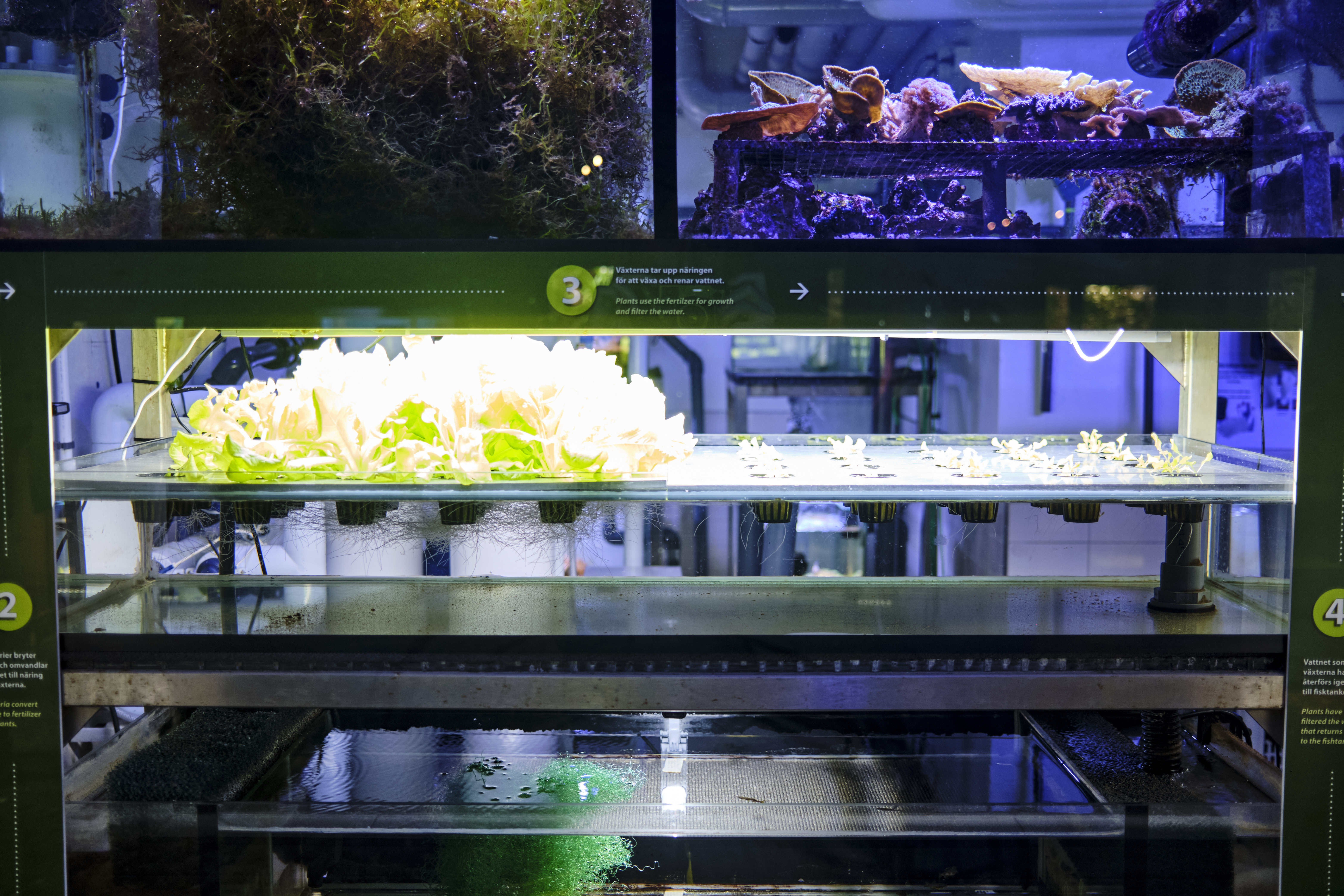 Image "DSCF4653.jpg"