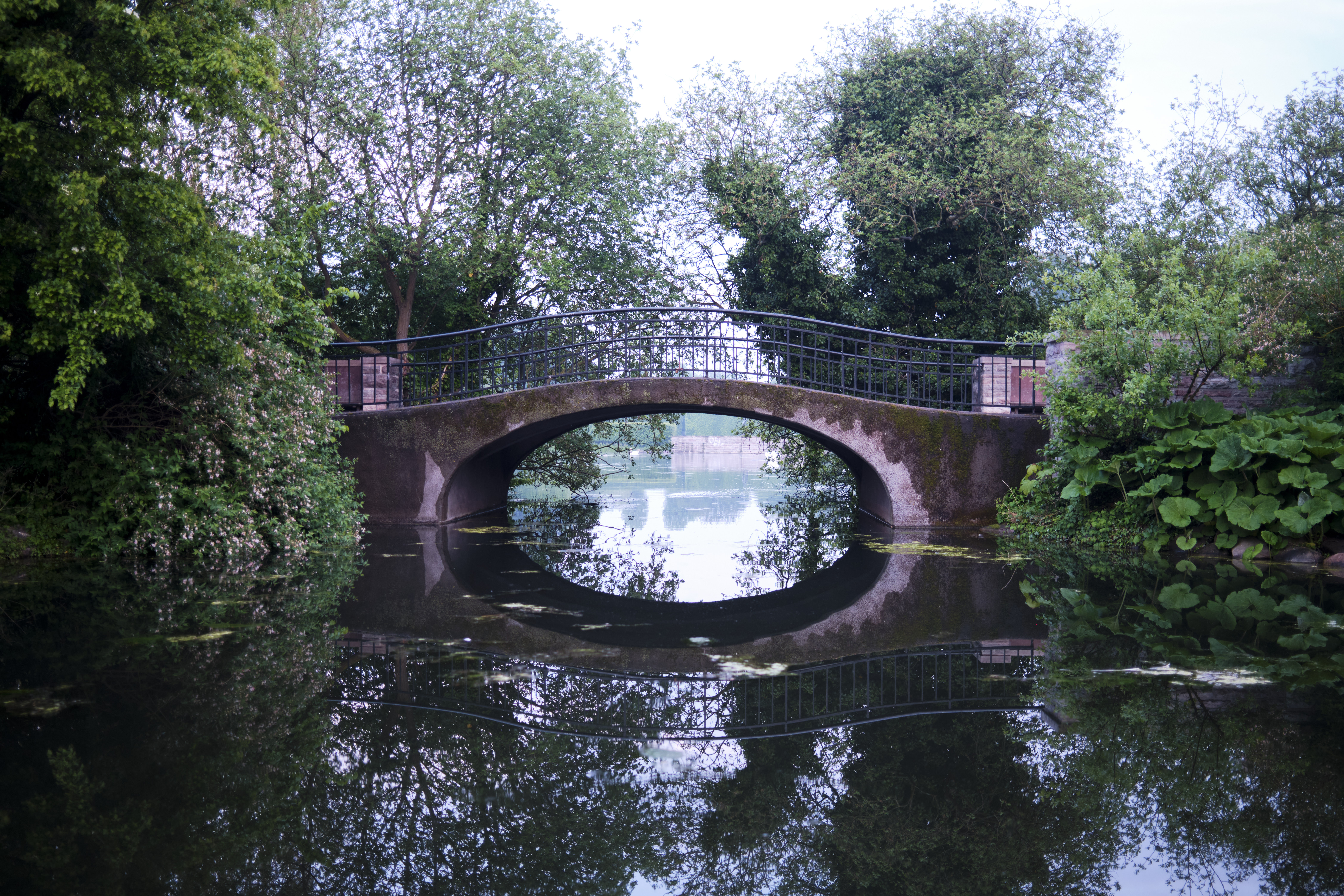 Image "DSCF4244.jpg"