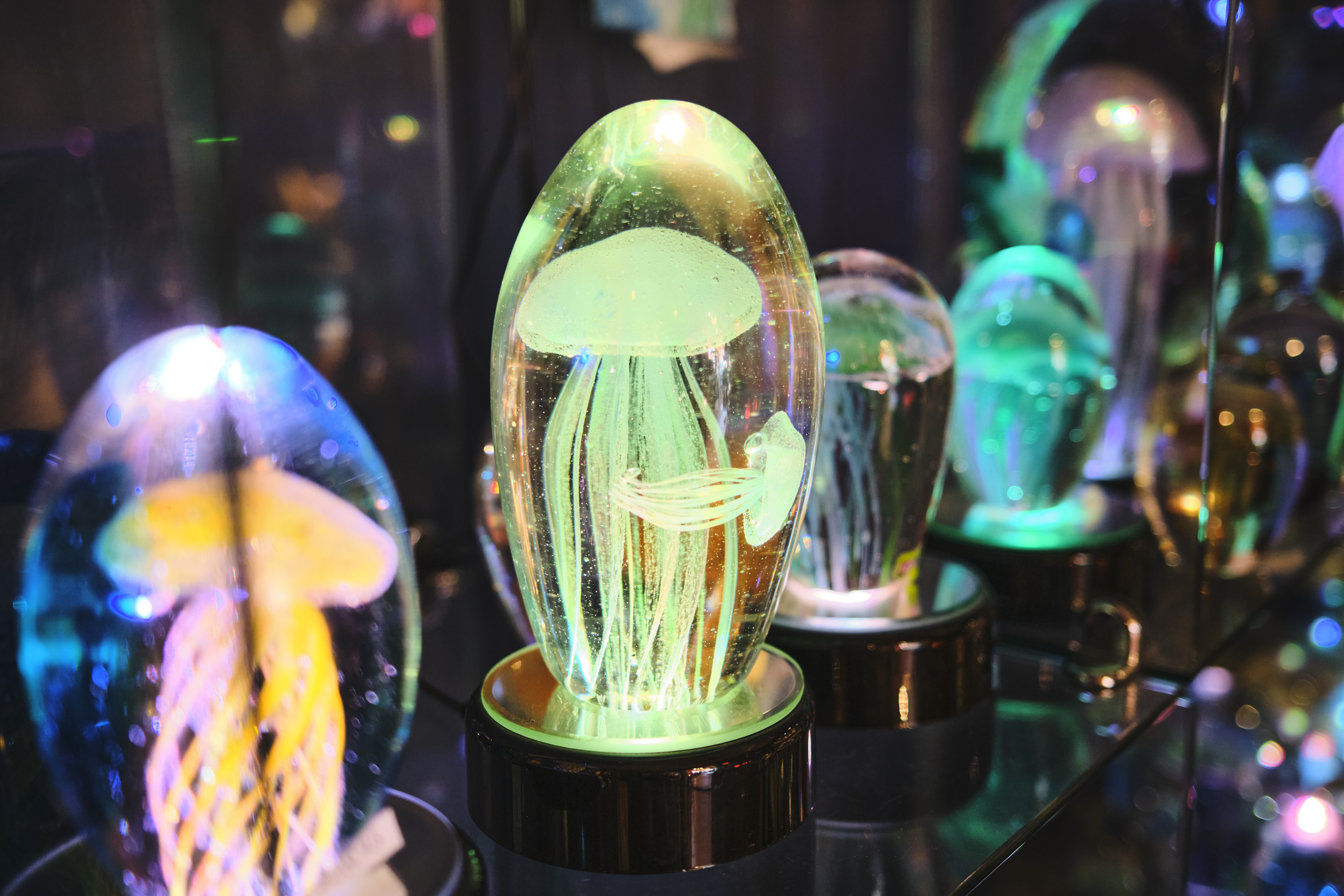 Image "DSCF0414 1.jpg"