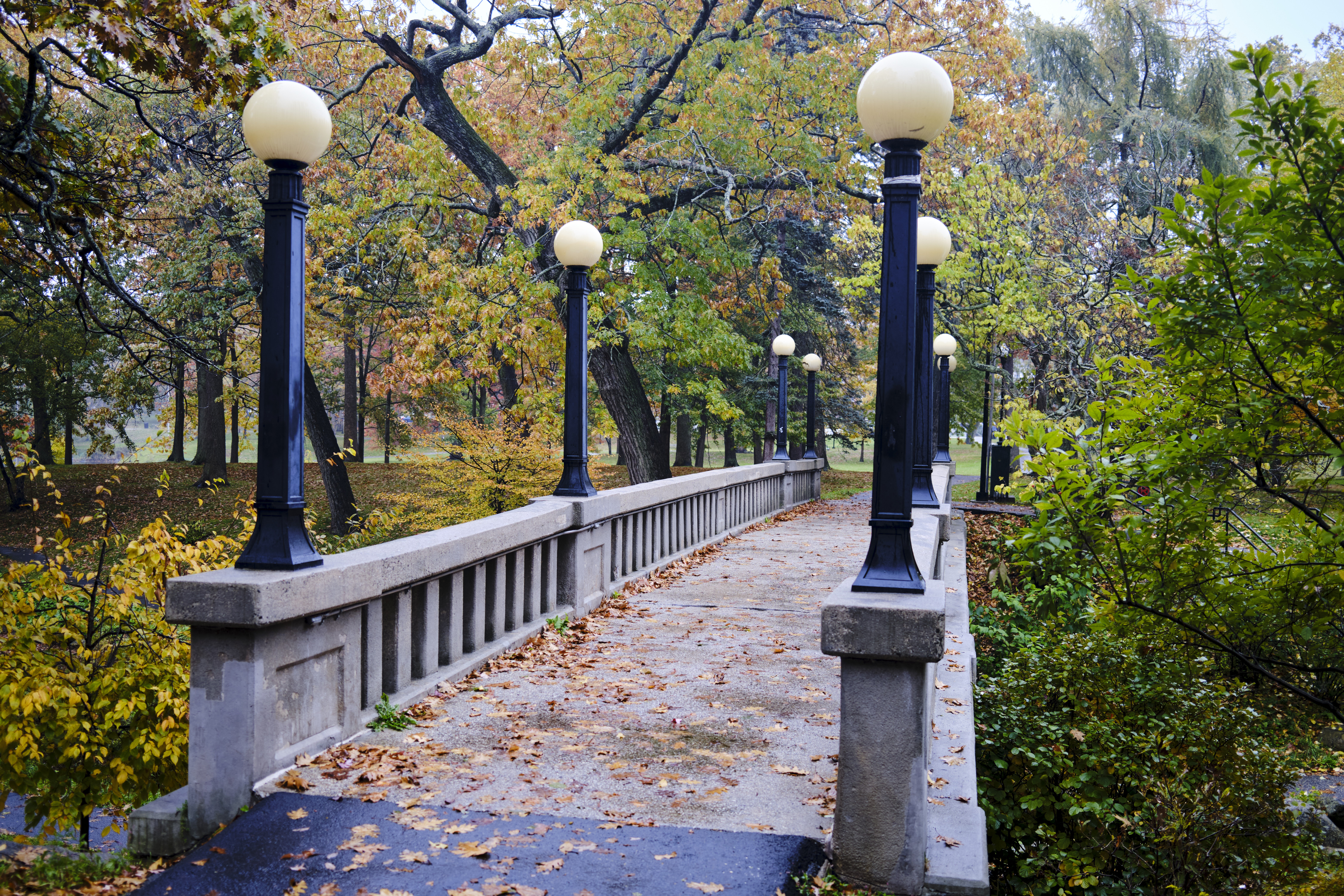 Image "DSCF1991 1.jpg"