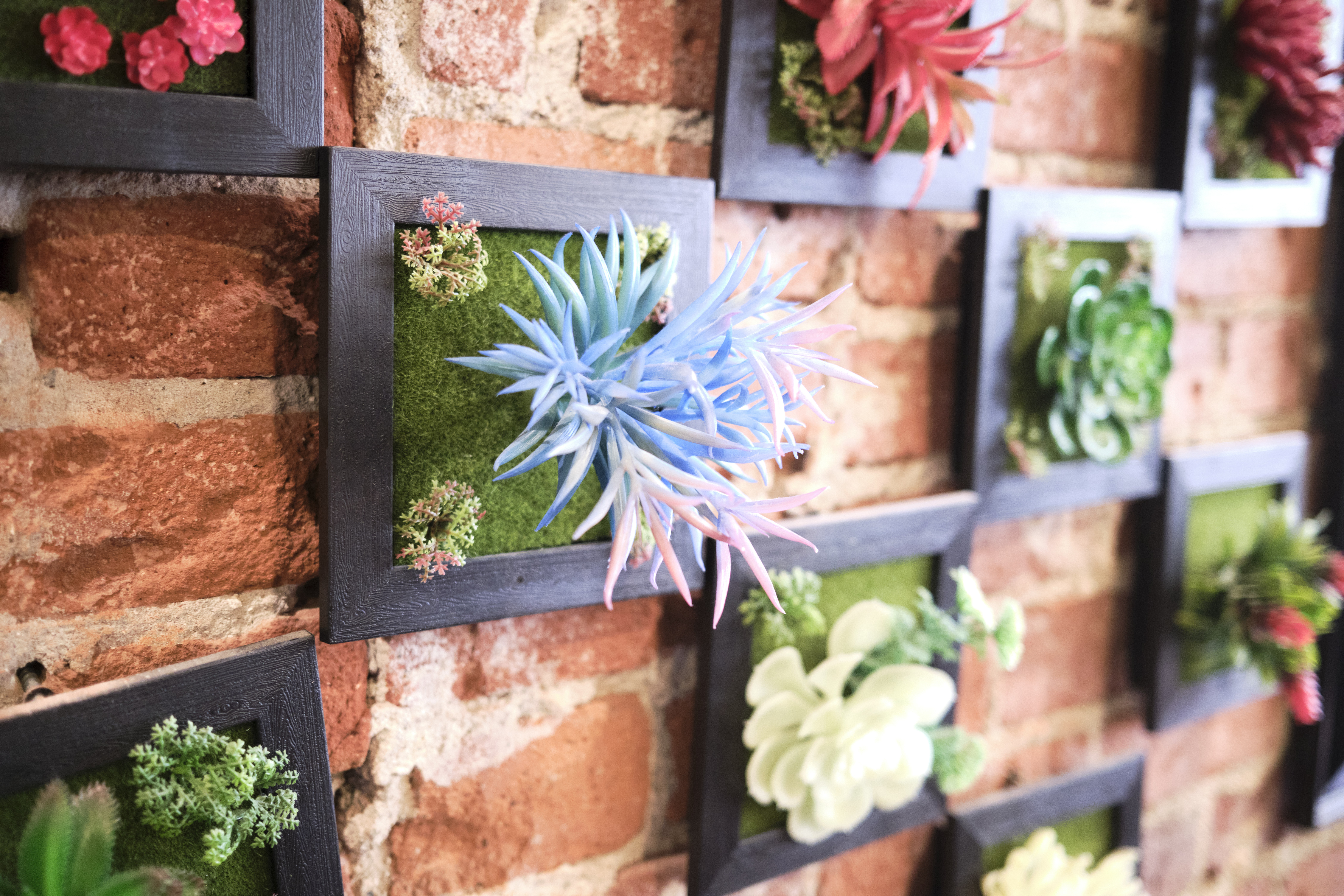 Image "DSCF1026 1.jpg"