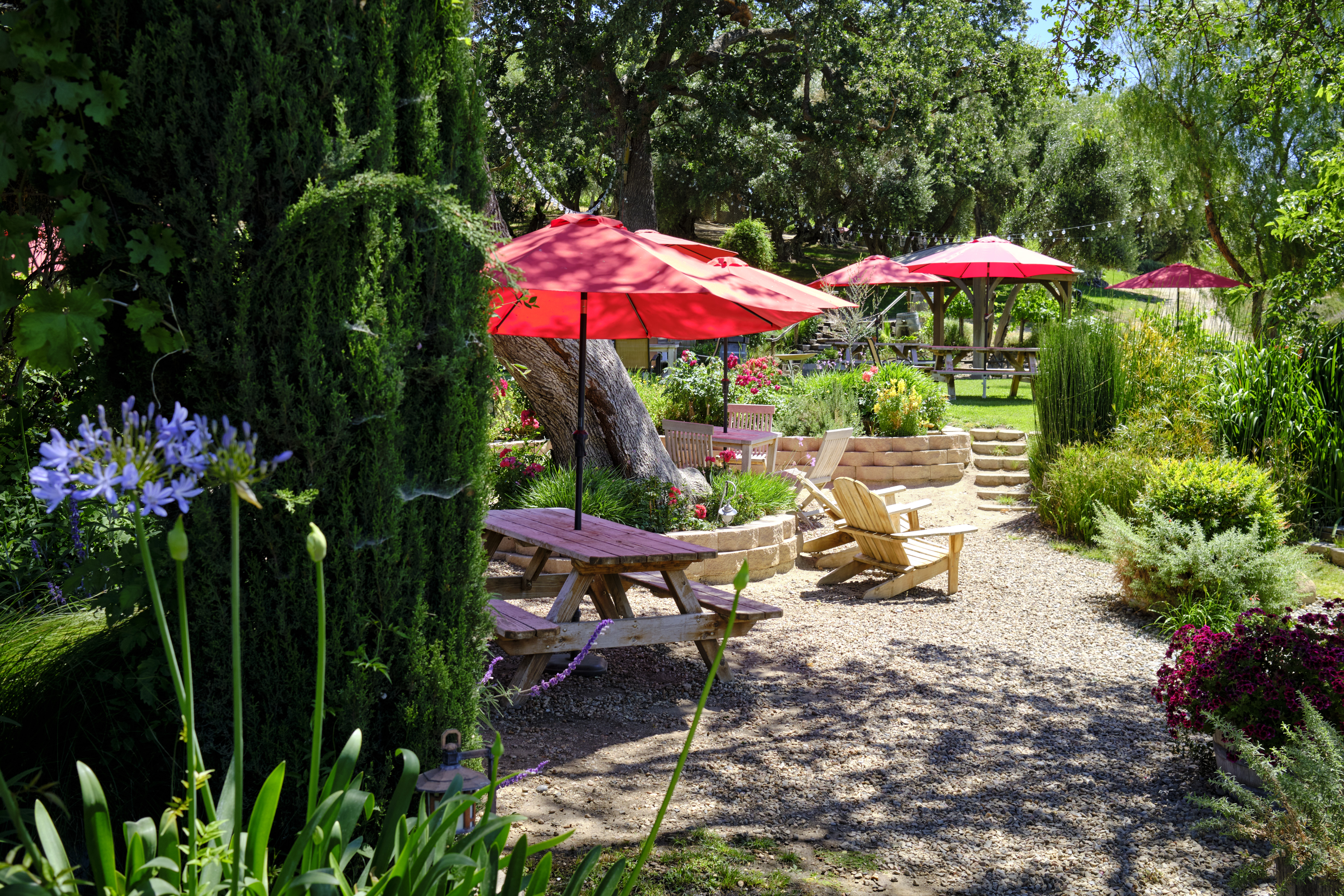 Image "DSCF4947.jpg"