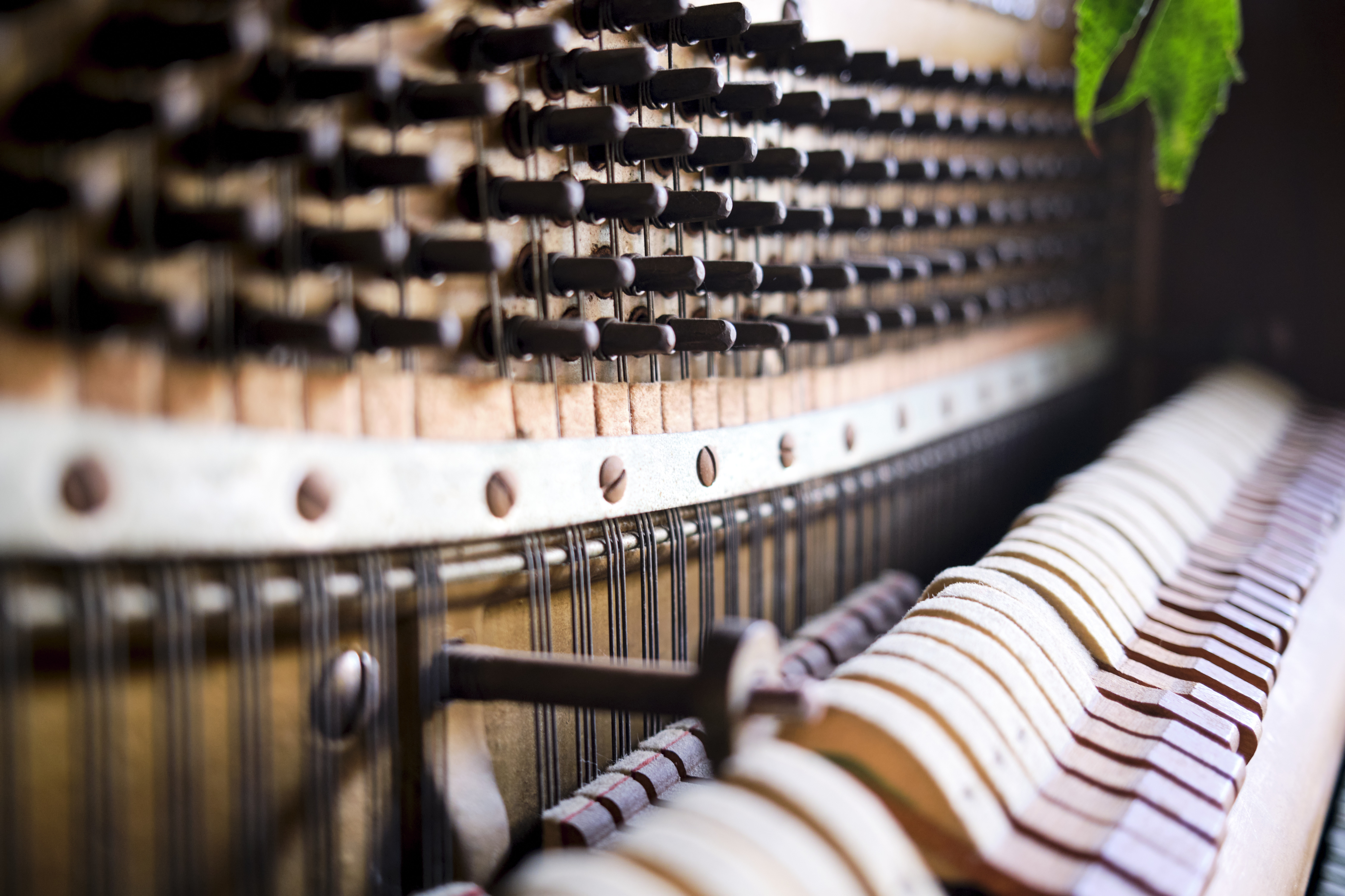 Image "DSCF0891 3.jpg"