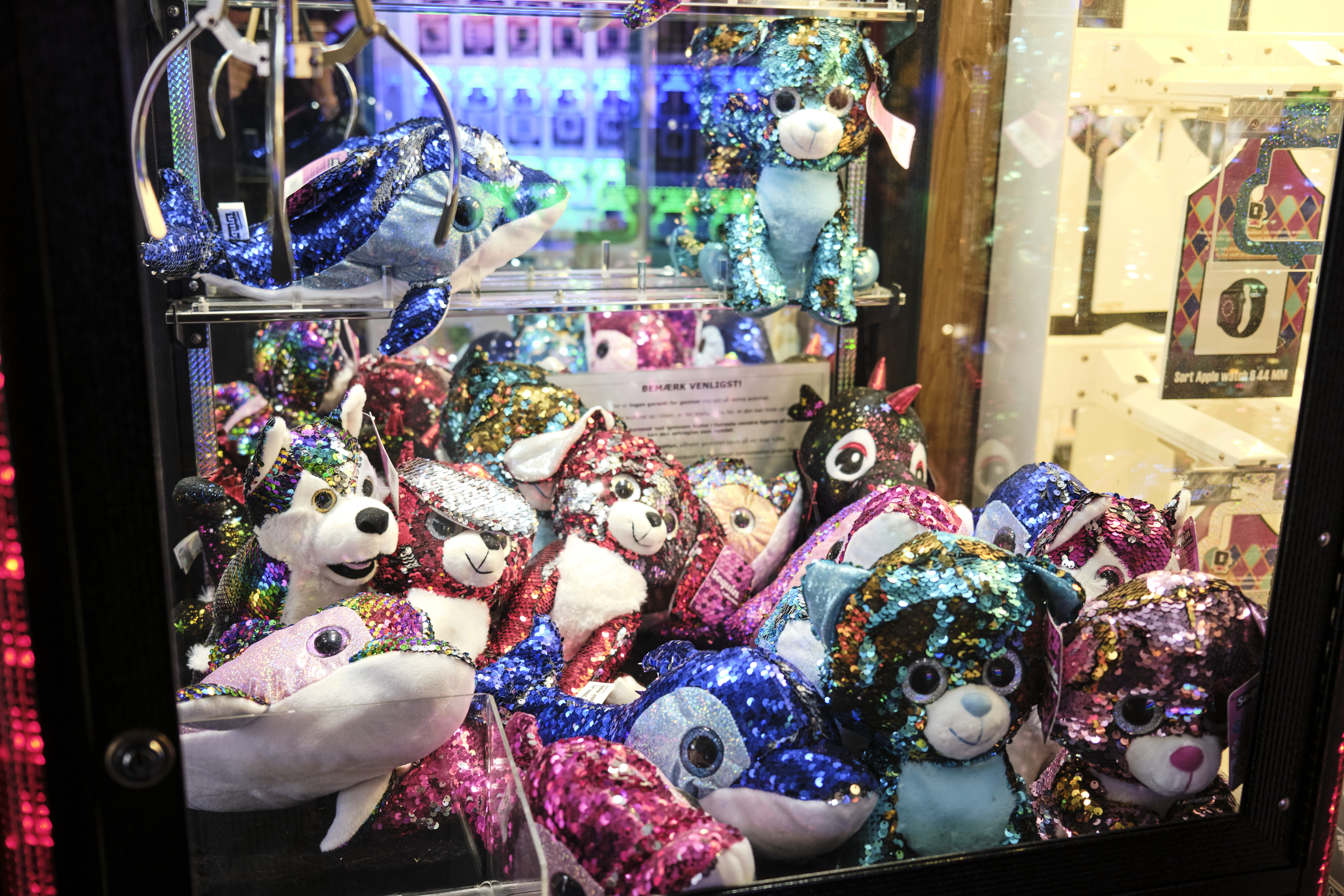 Image "DSCF4806.jpg"