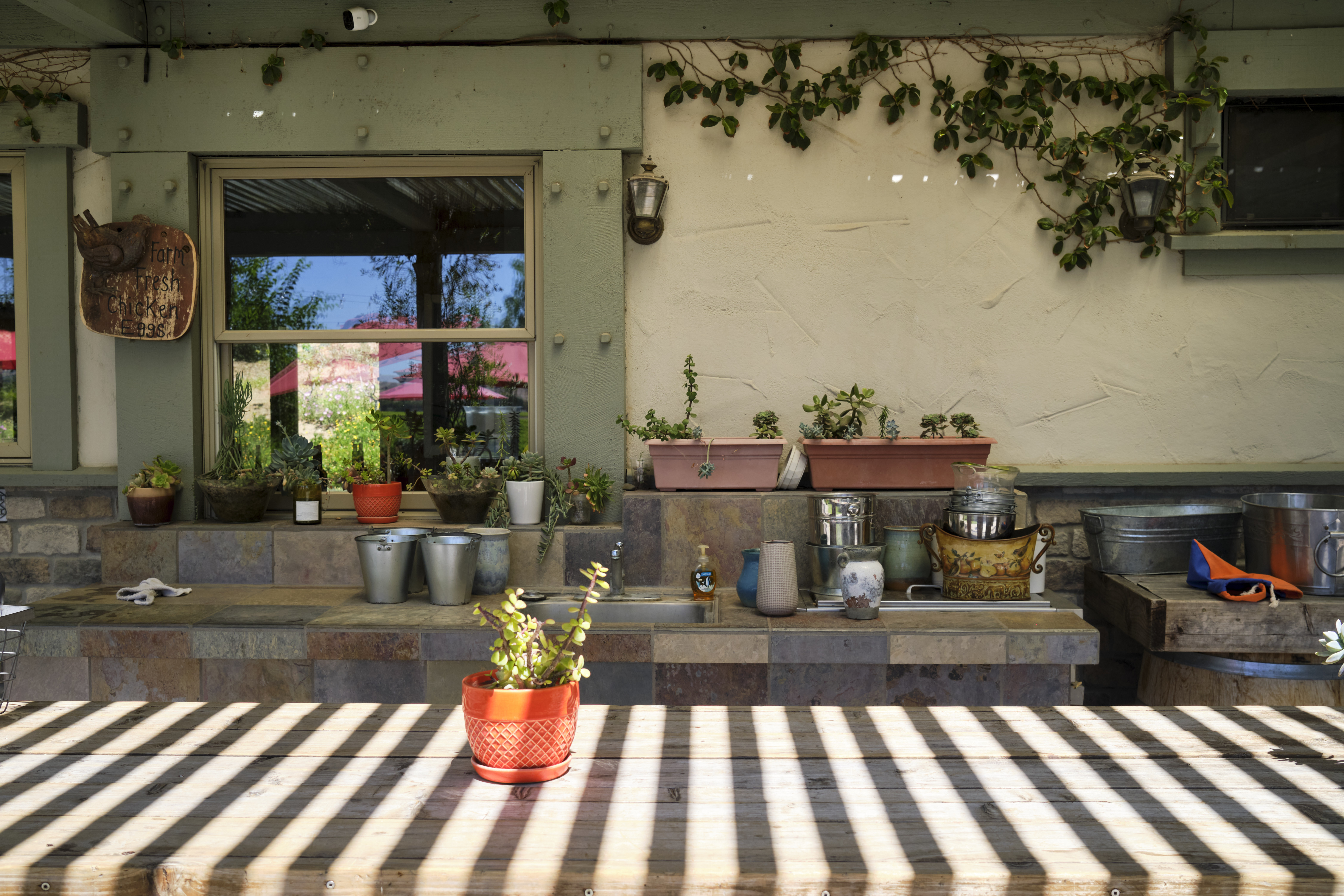 Image "DSCF5004.jpg"