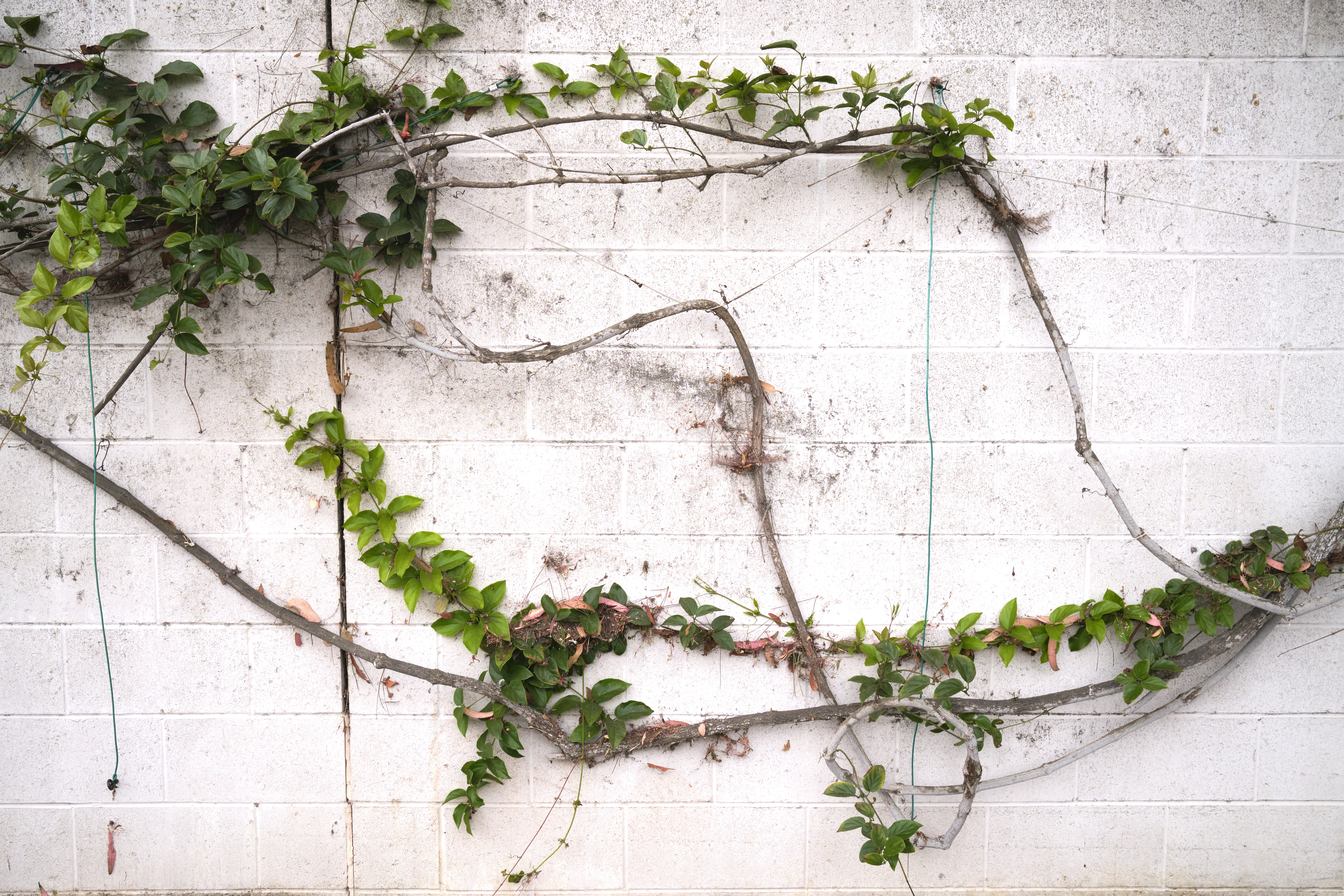 Image "DSCF0770.jpg"