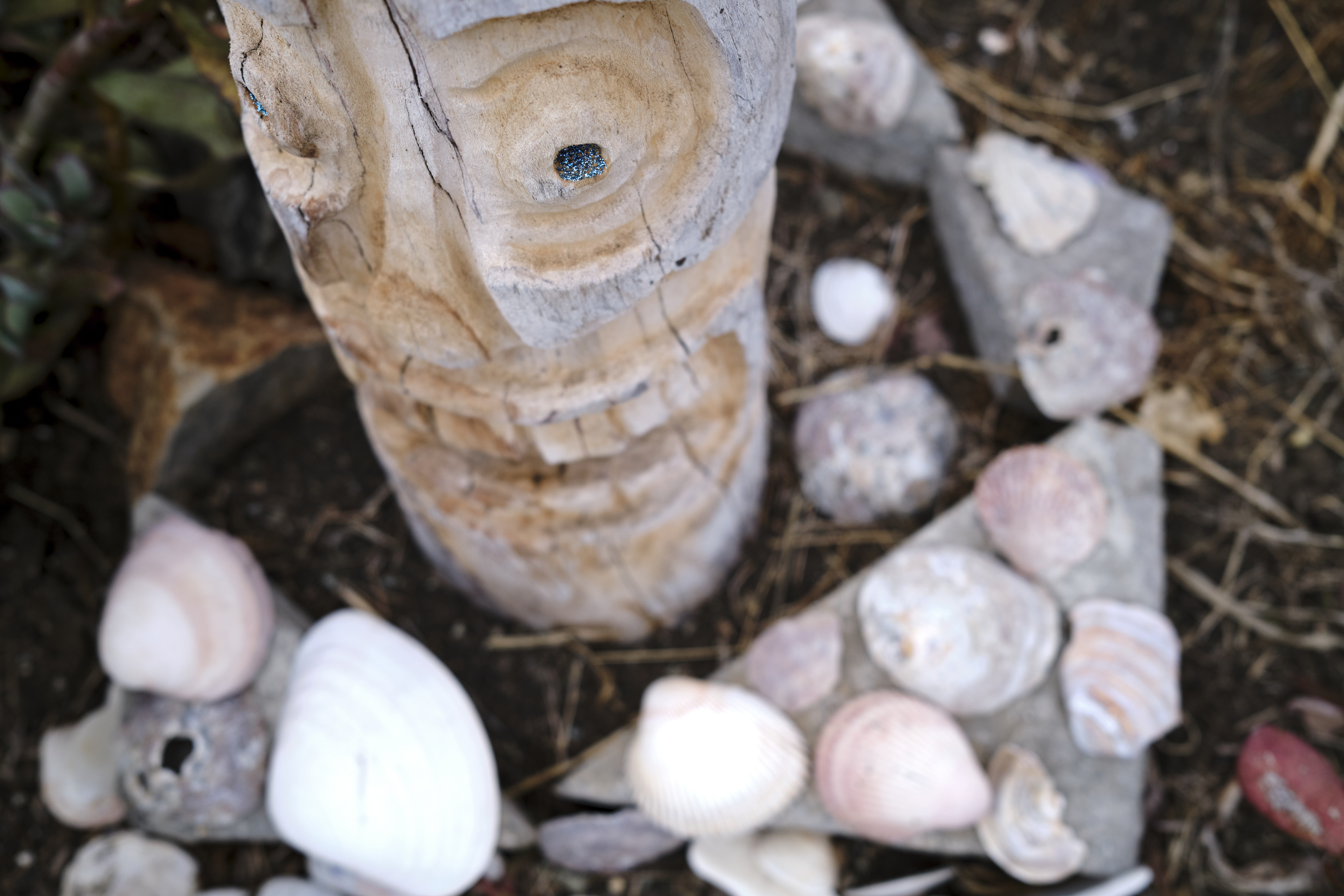 Image "DSCF0830 2.jpg"