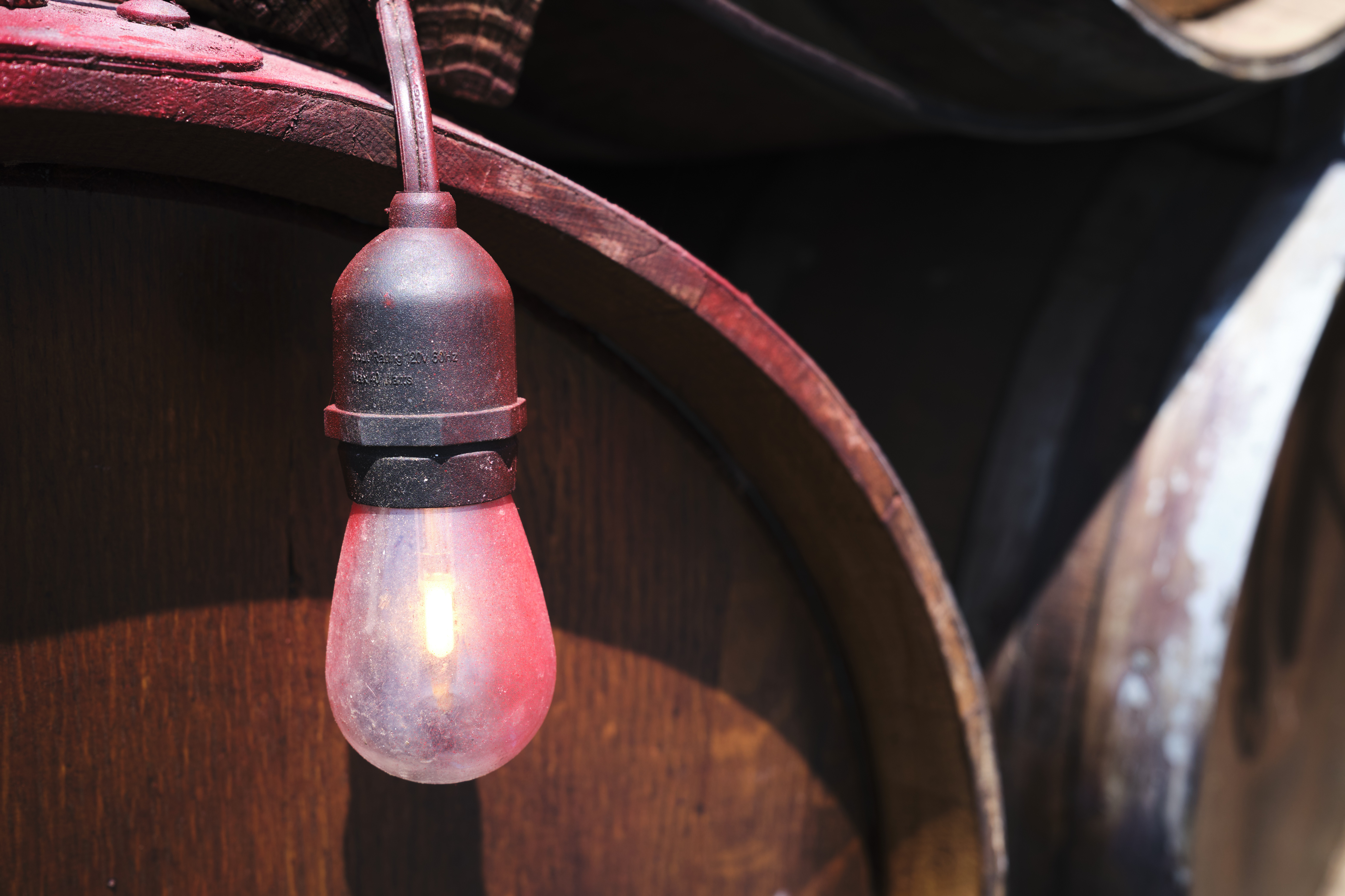 Image "DSCF0637.jpg"