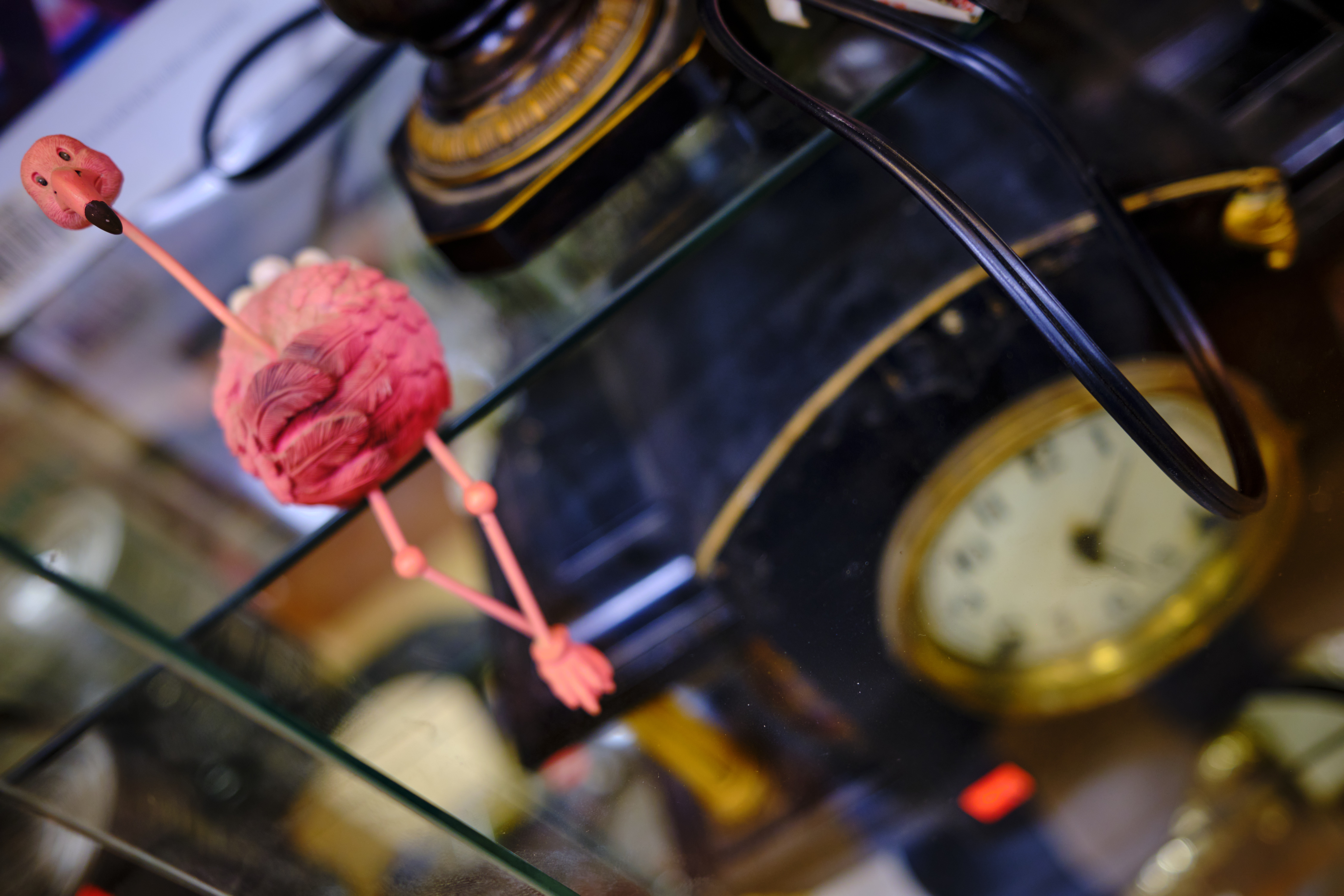 Image "DSCF1216 1.jpg"