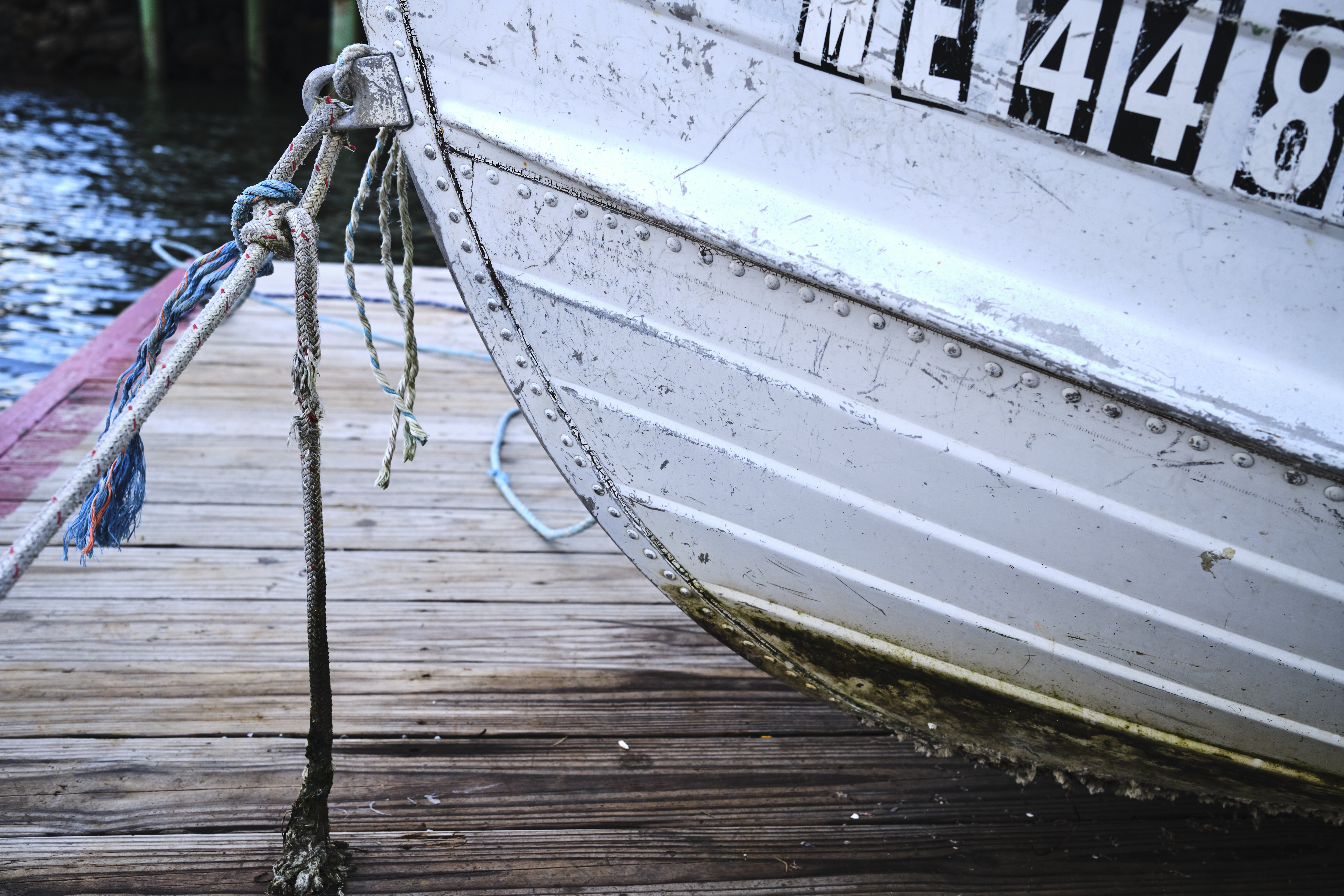 Image "DSCF2224.jpg"