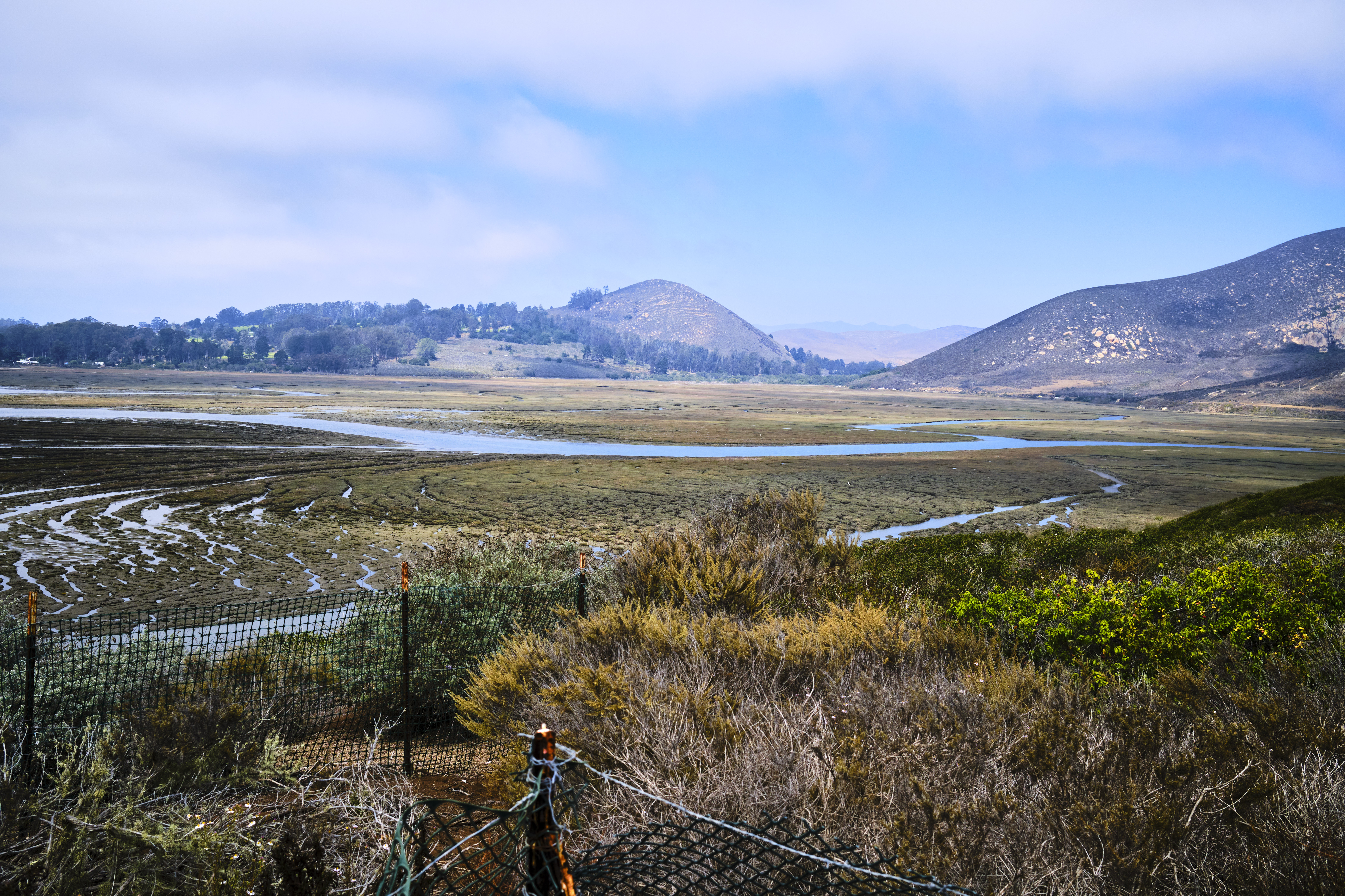 Image "DSCF0904.jpg"