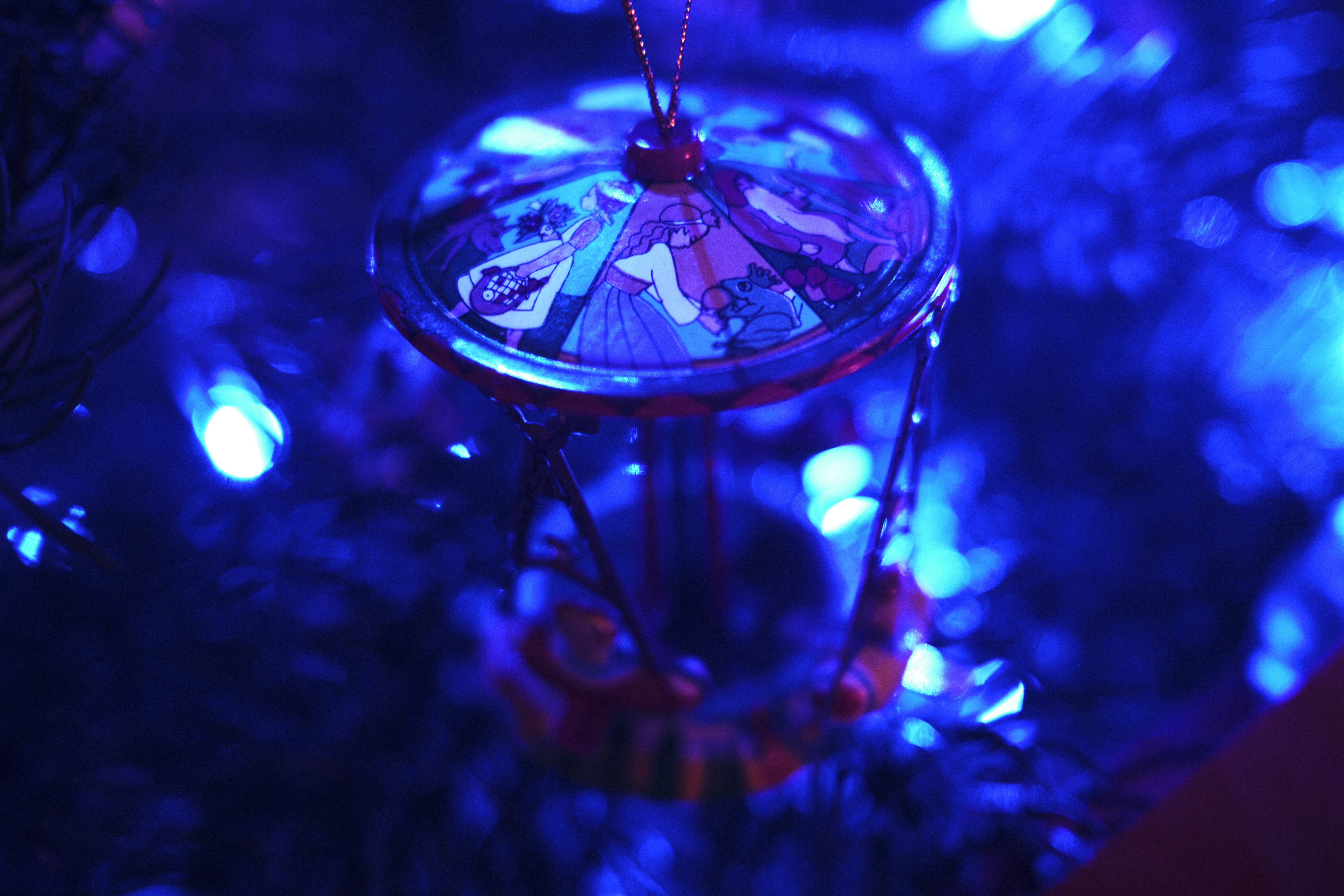 Image "DSCF5740.jpg"