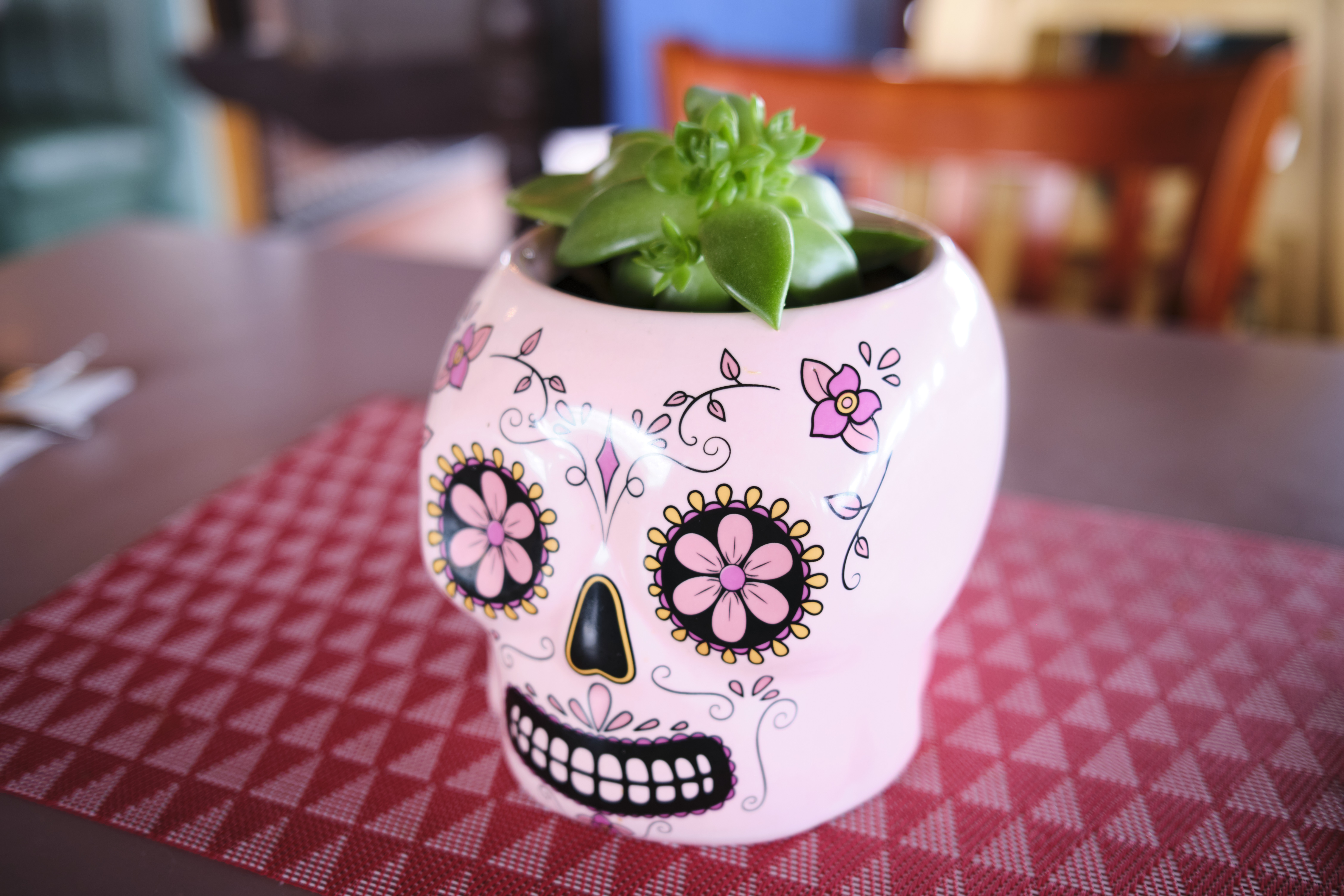 Image "DSCF0476.jpg"