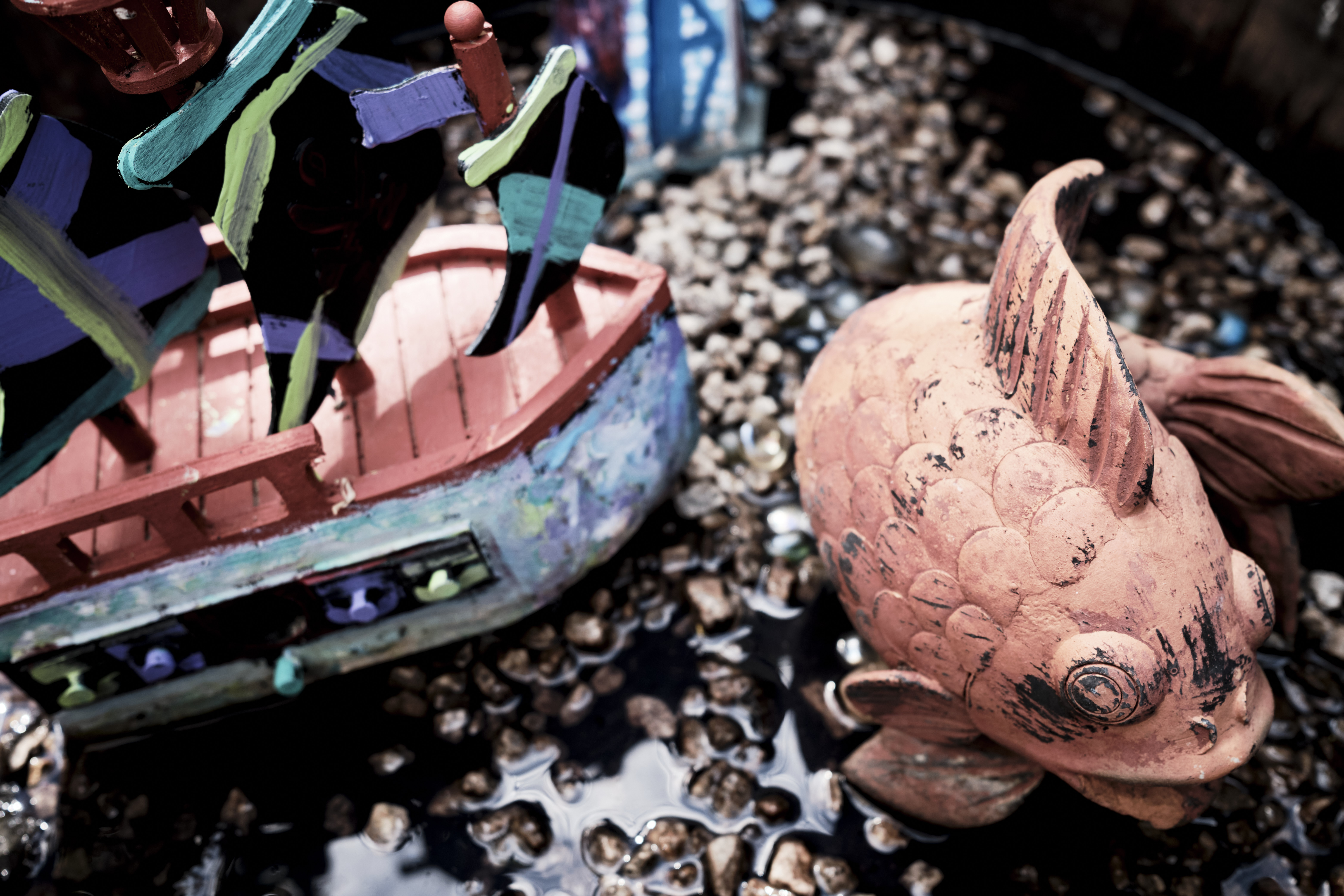 Image "DSCF3748.jpg"