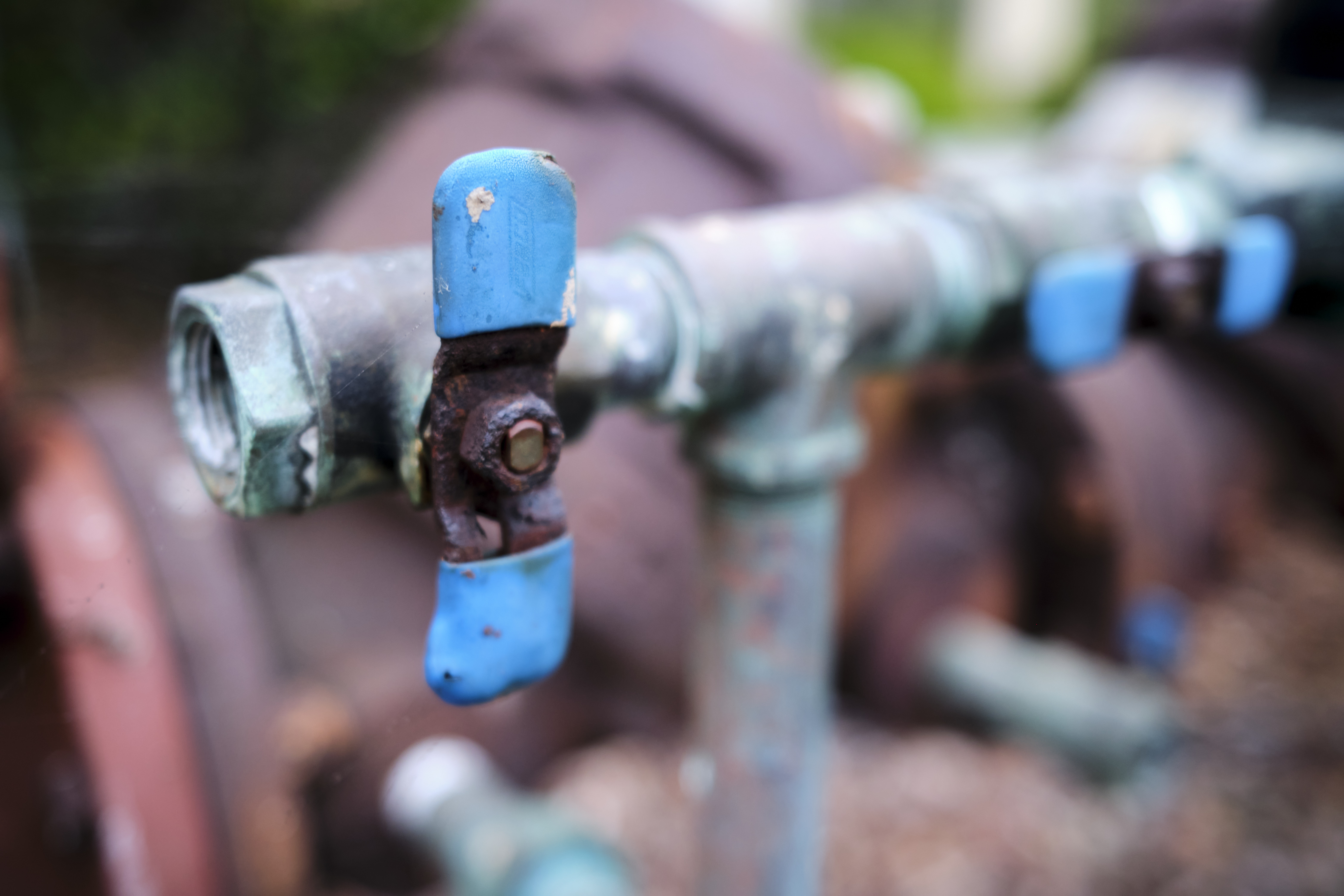 Image "DSCF0788.jpg"